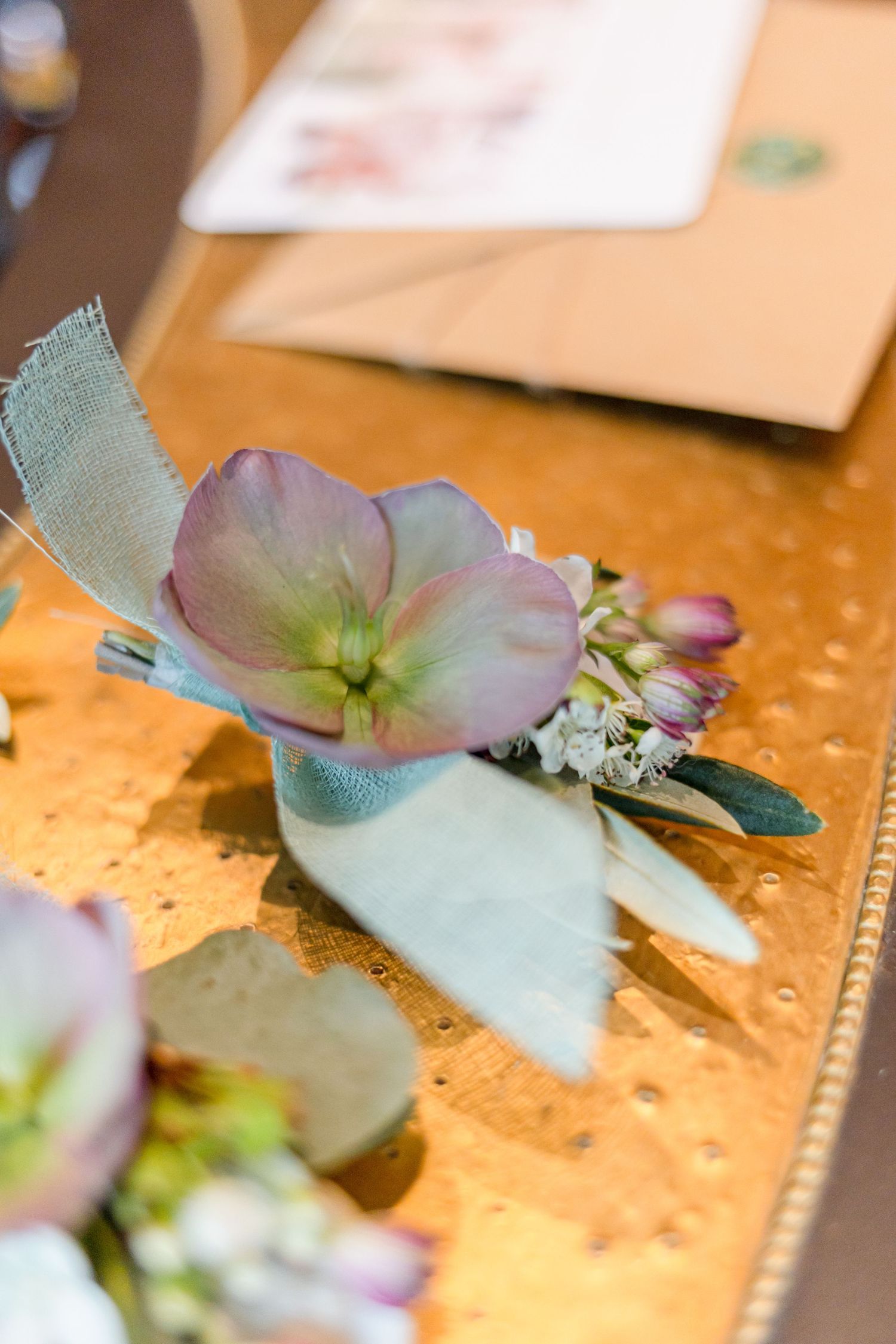 Delicate pink hellebore flower with green accents on a golden surface.