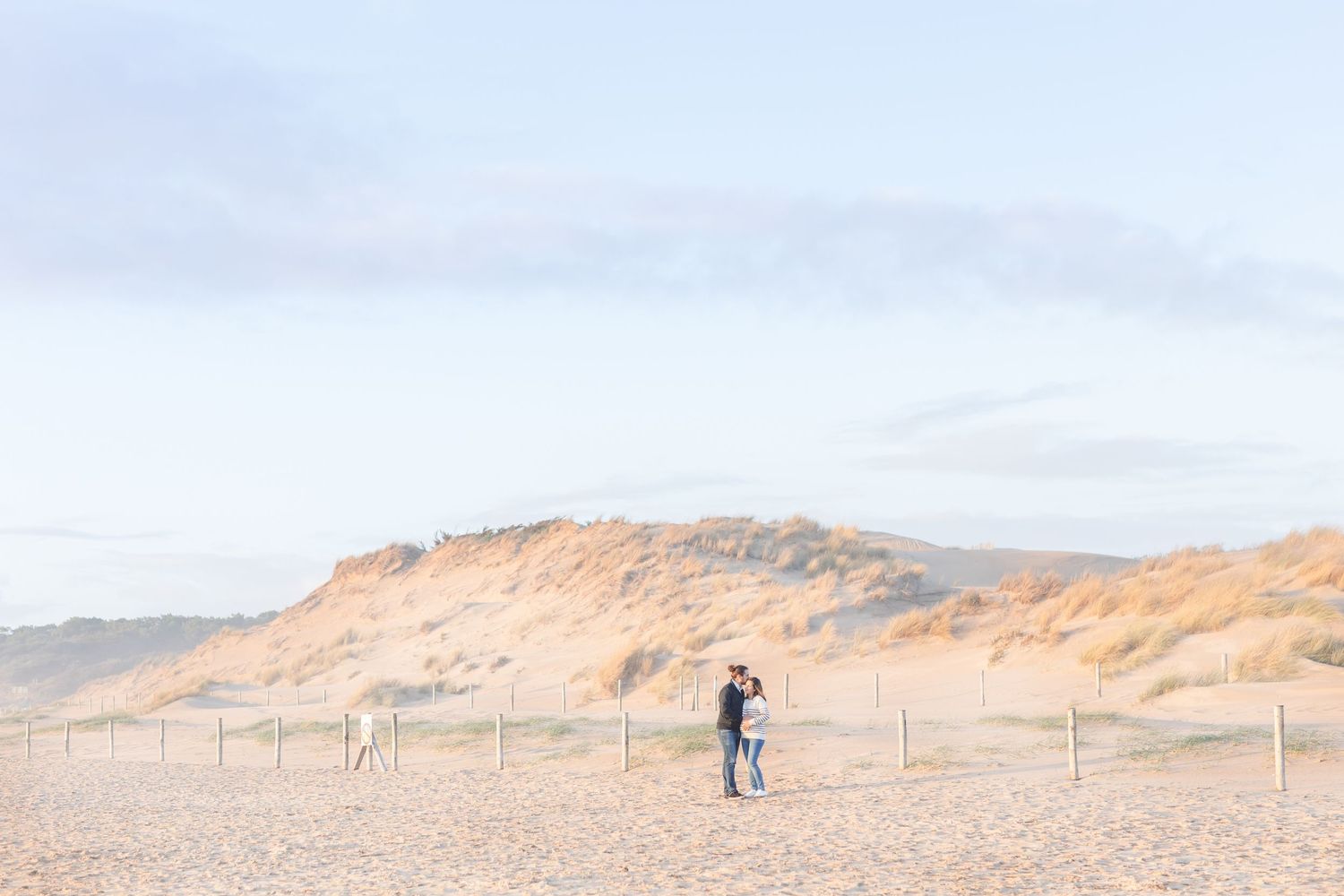 Serene coastal landscape with sandy dunes and distant trees against blue sky.