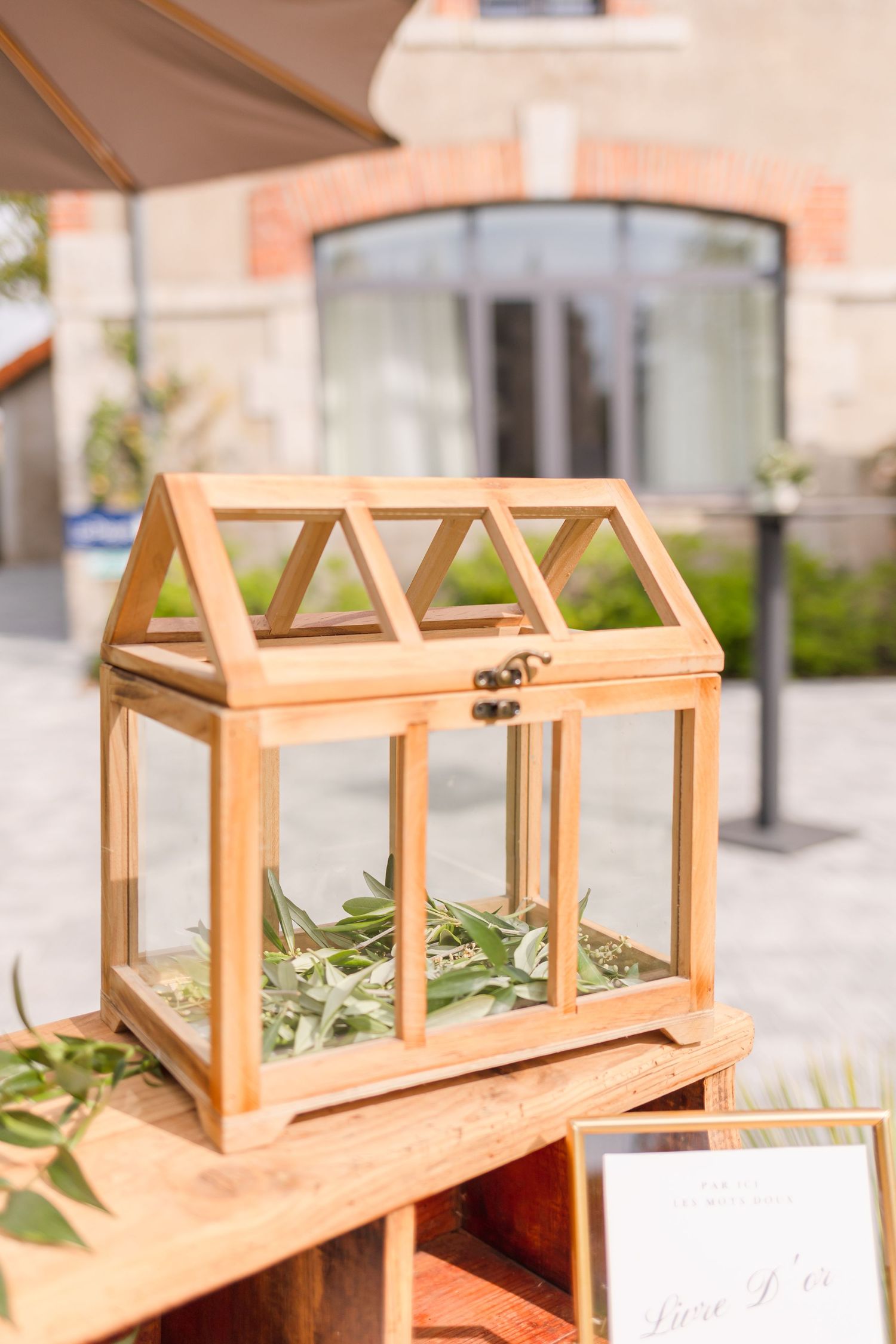 Wooden terrarium display box with glass panels and greenery sitting on outdoor table.