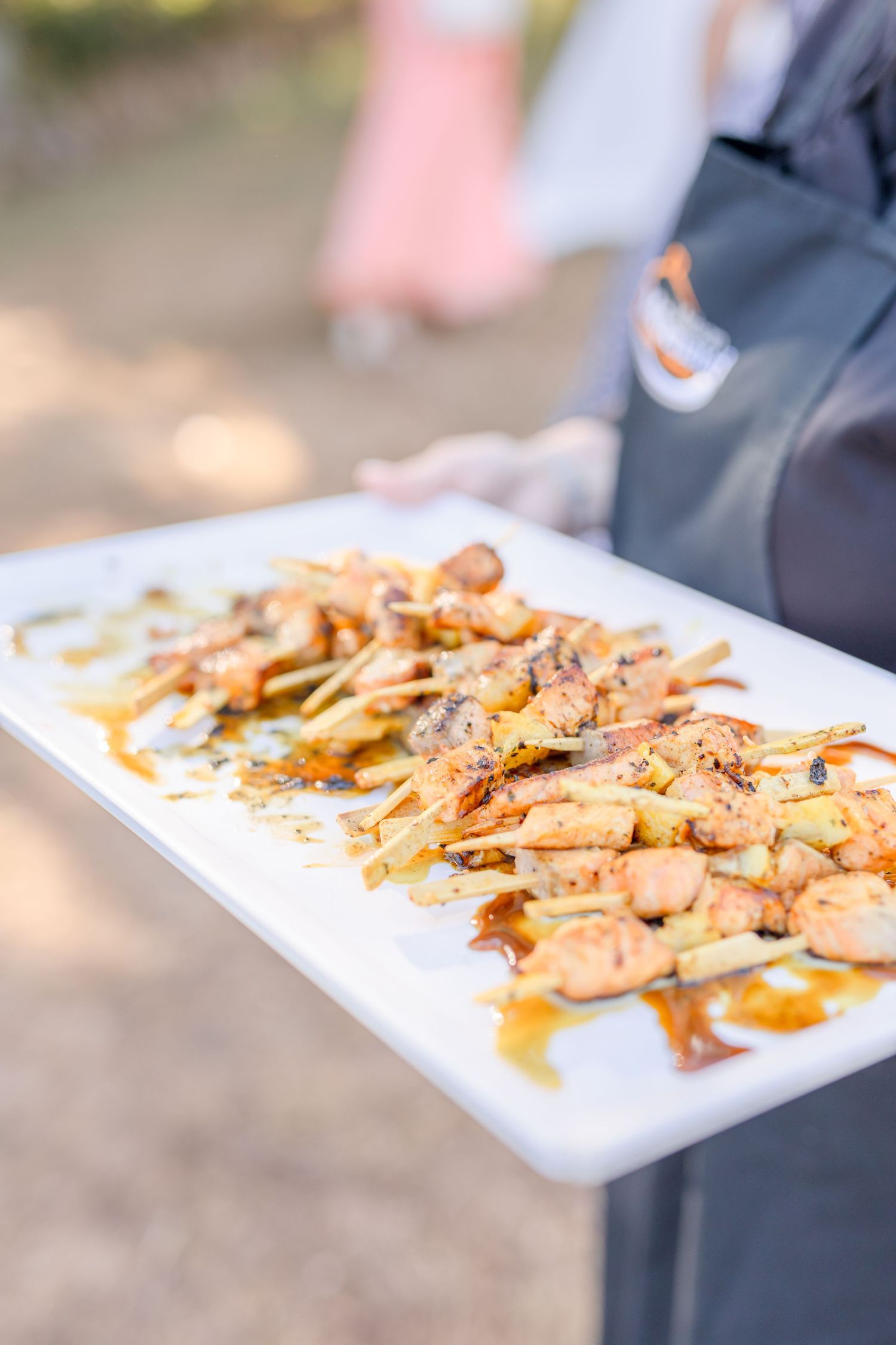 Catering plates showcase elegantly plated appetizers with sauce drizzles.
