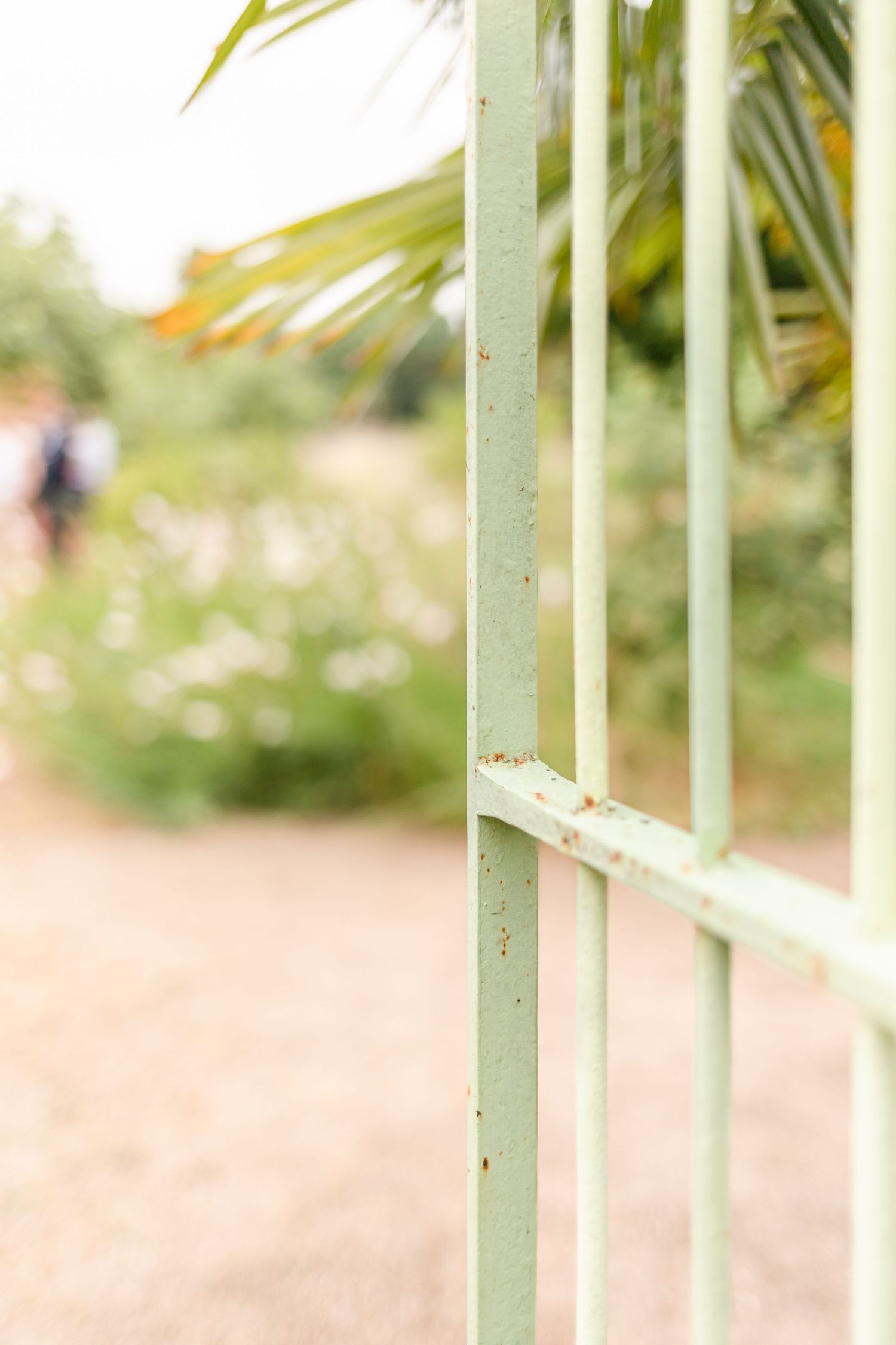 Close-up view of a mint green metal gate post against a blurred natural background.