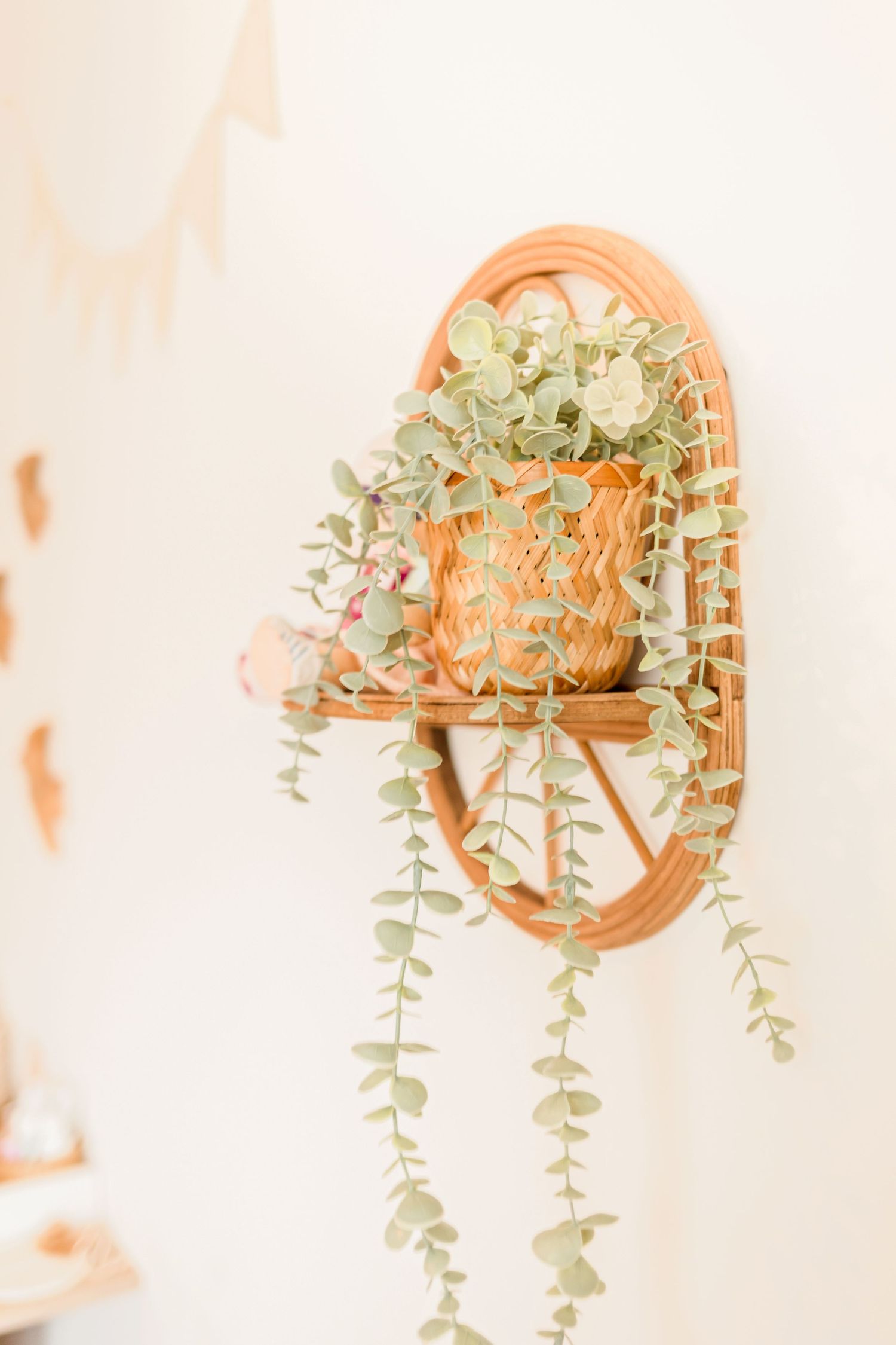 Decorative orange basket with trailing eucalyptus plant against white wall.