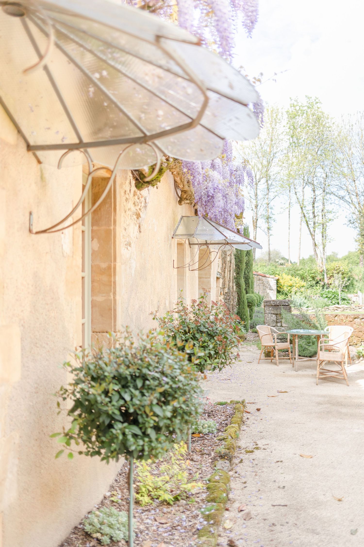 Stone colonnade decorated with cascading wisteria creates a romantic garden walkway.