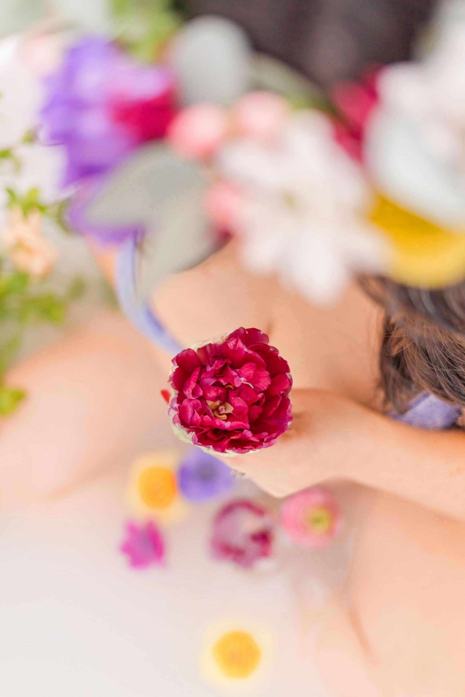 Close-up of deep red peony with soft focus floral background.