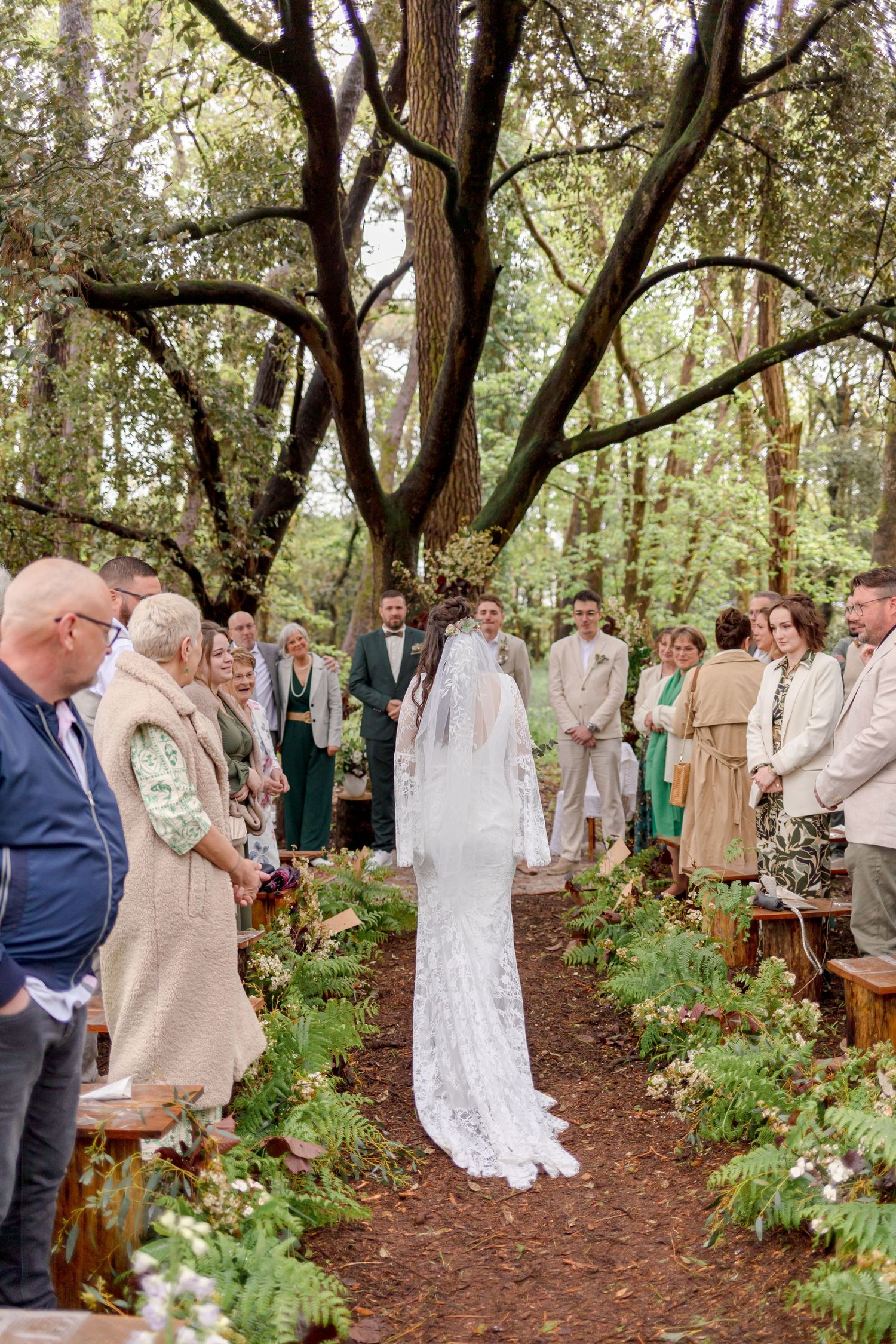 Wedding ceremony in a forest setting with guests seated on wooden benches along a fern-lined path.