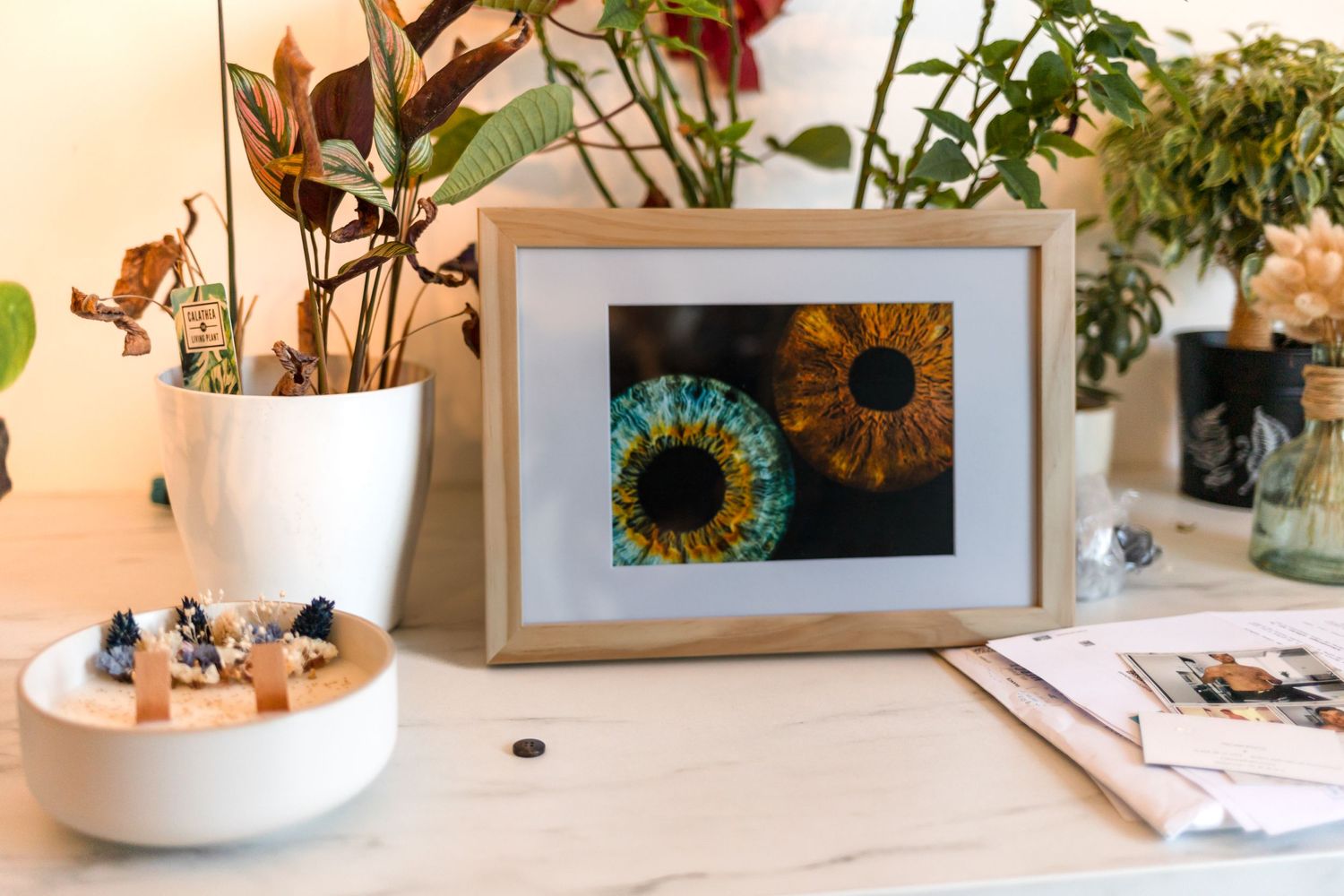 Framed sunflower artwork displayed on desk with potted plants and decorative items.