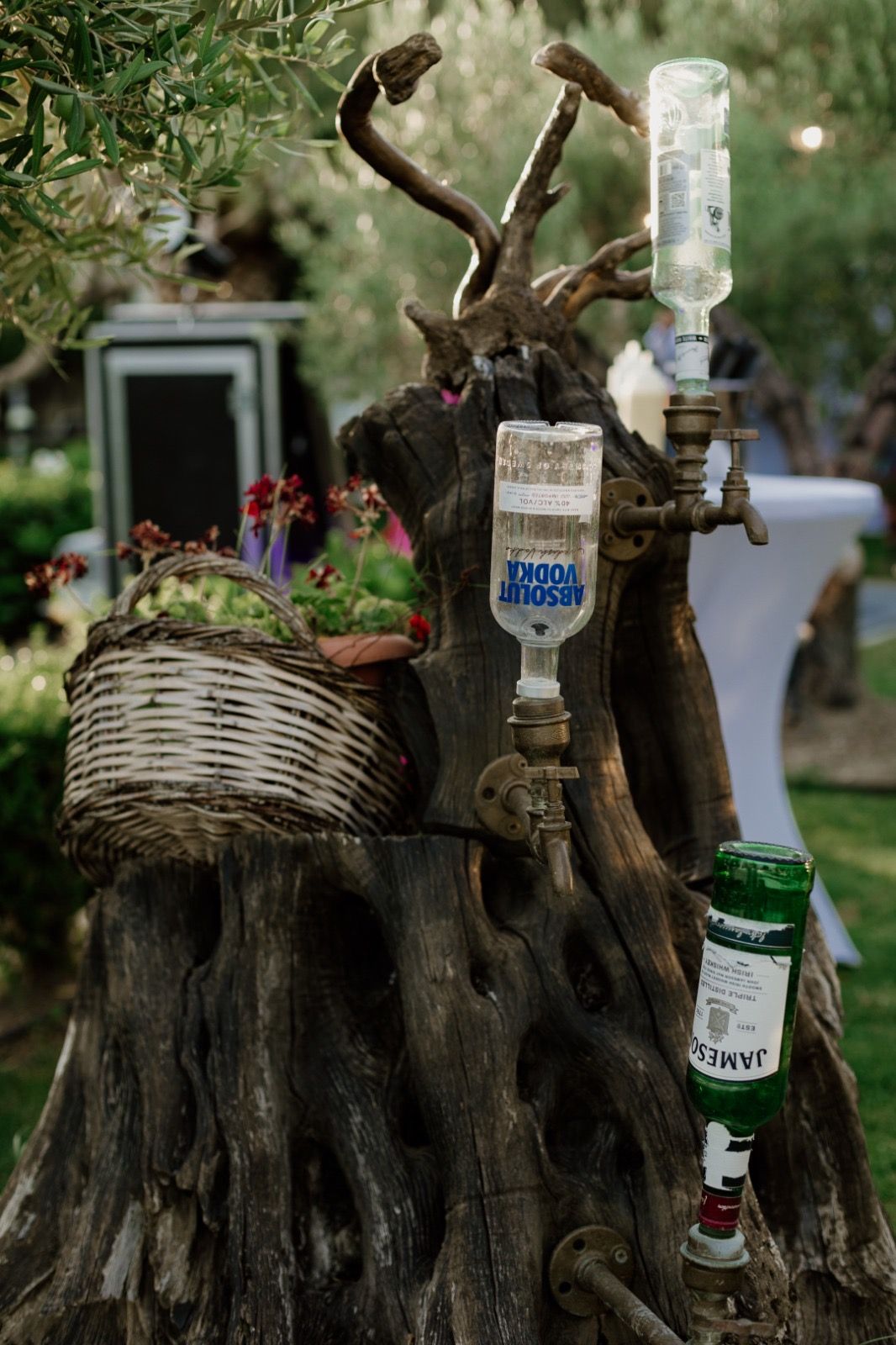 Creative drink display using vintage tree stump with mounted liquor bottles and flower basket.