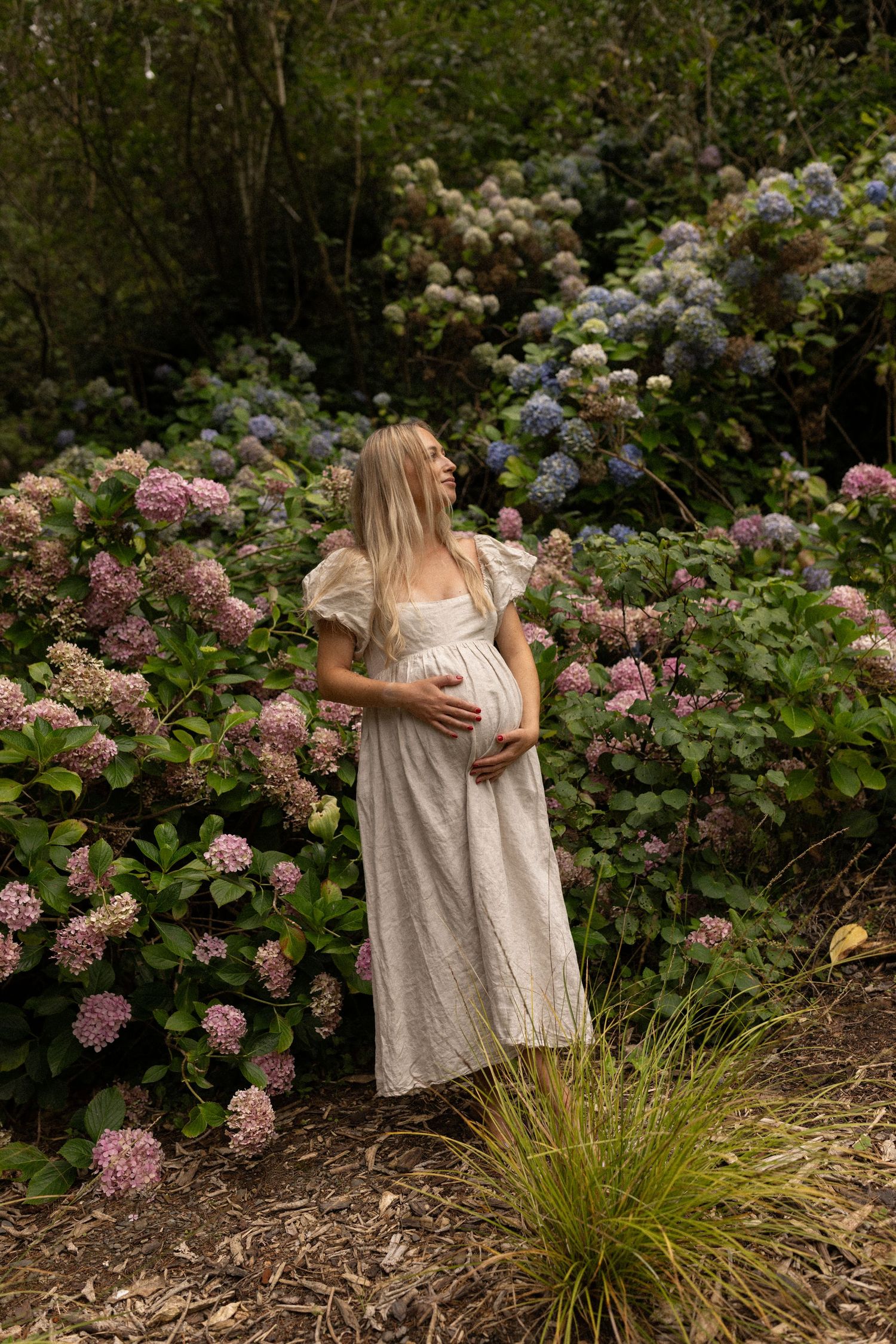 Pregnant woman in white dress cradling baby bump surrounded by colorful hydrangea bushes in a lush garden.