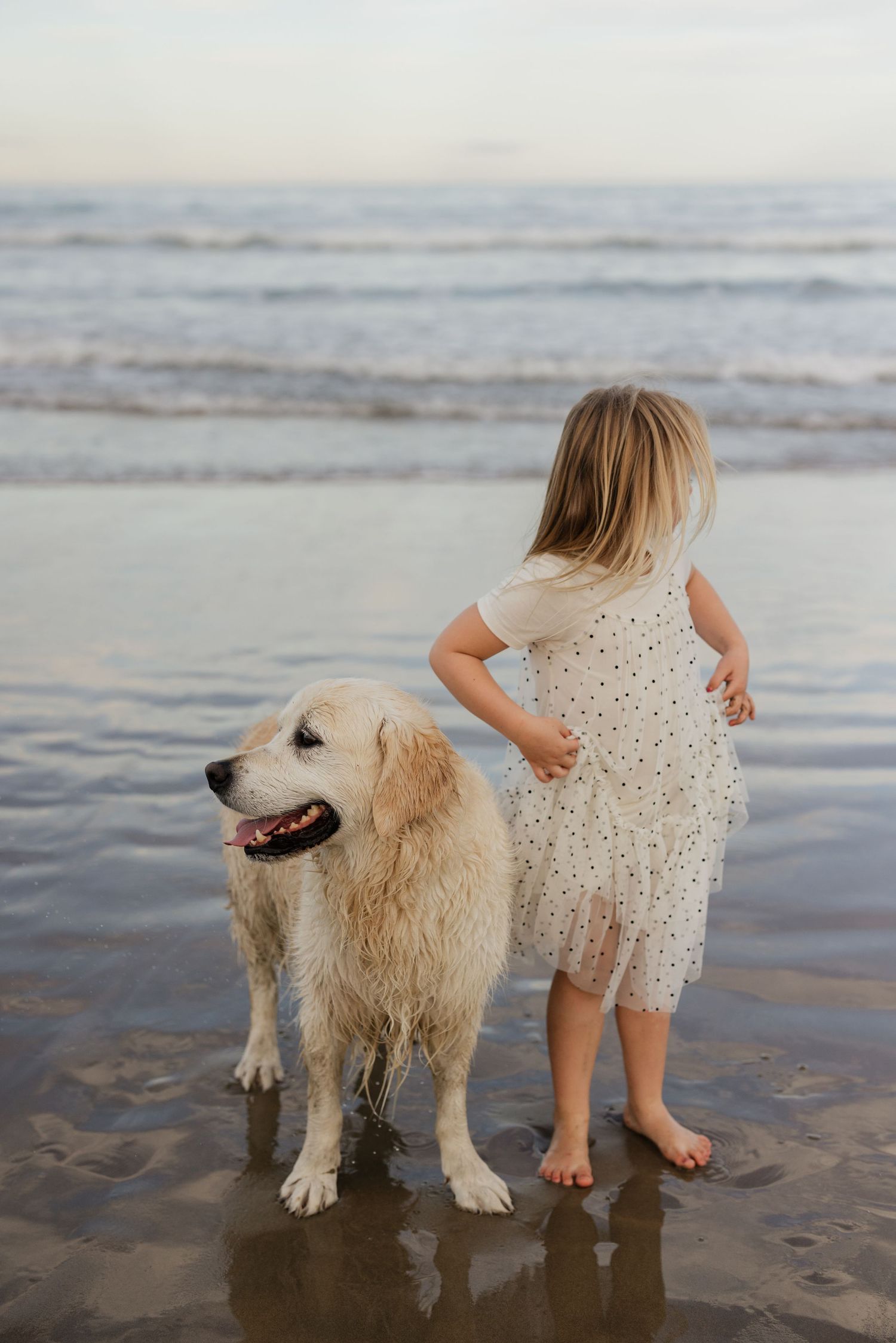 A young child in a polka dot dress stands with a Golden Retriever on a beach at sunset.