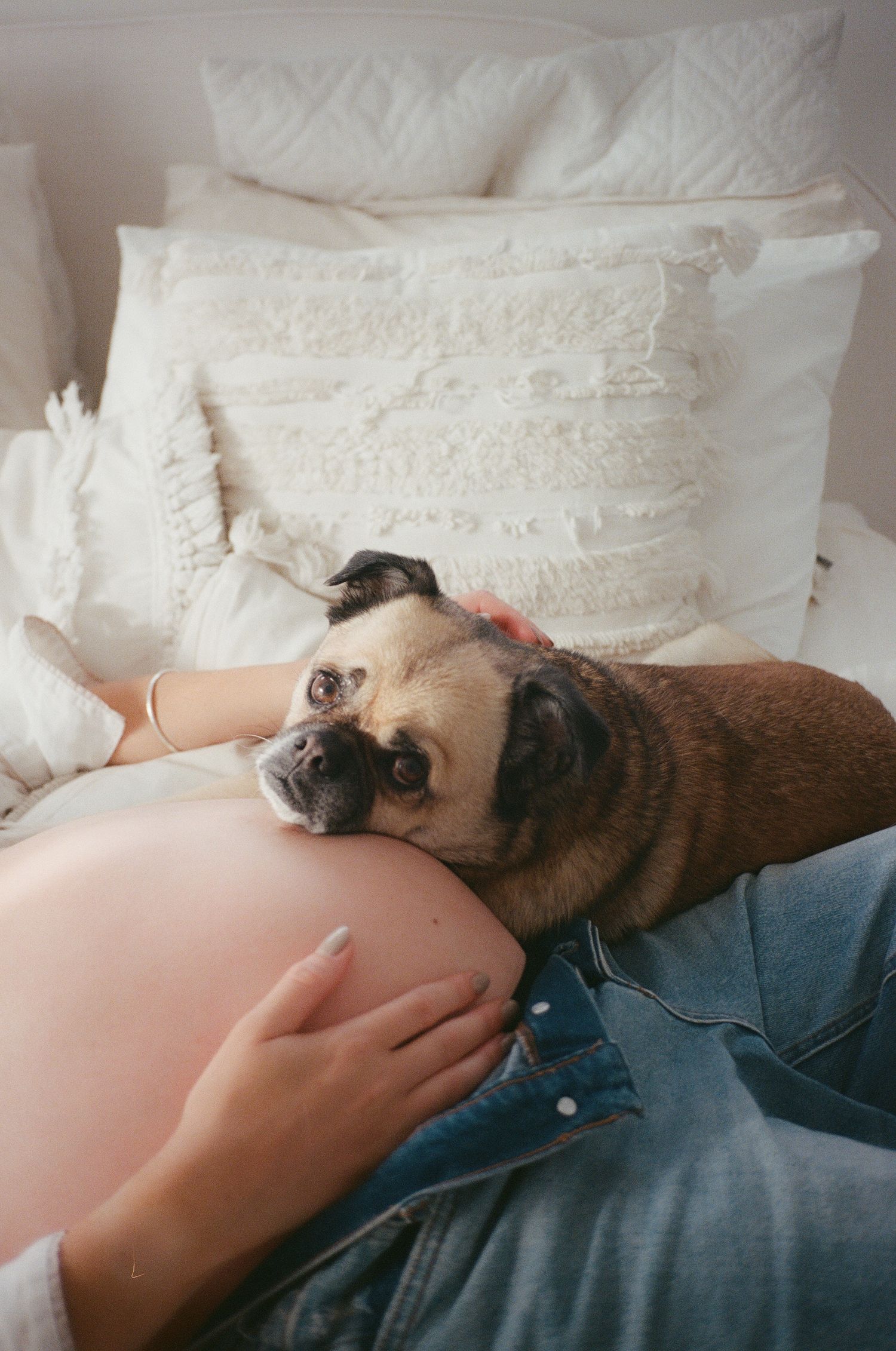A pug resting its head on a pregnant woman's bare belly while lying on a white pillow-covered bed.