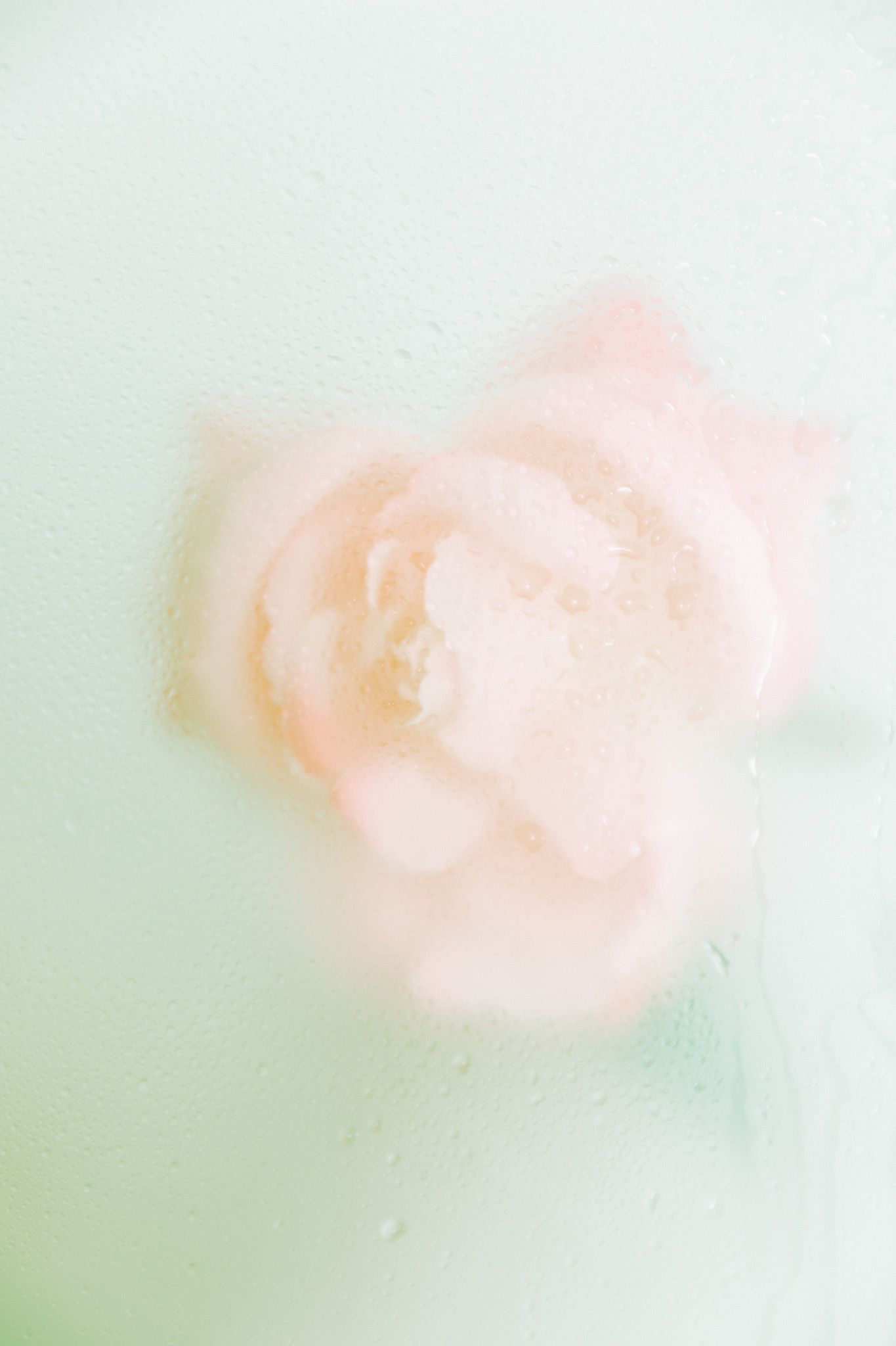 Soft focus pale pink roses creating a dreamy ethereal effect.