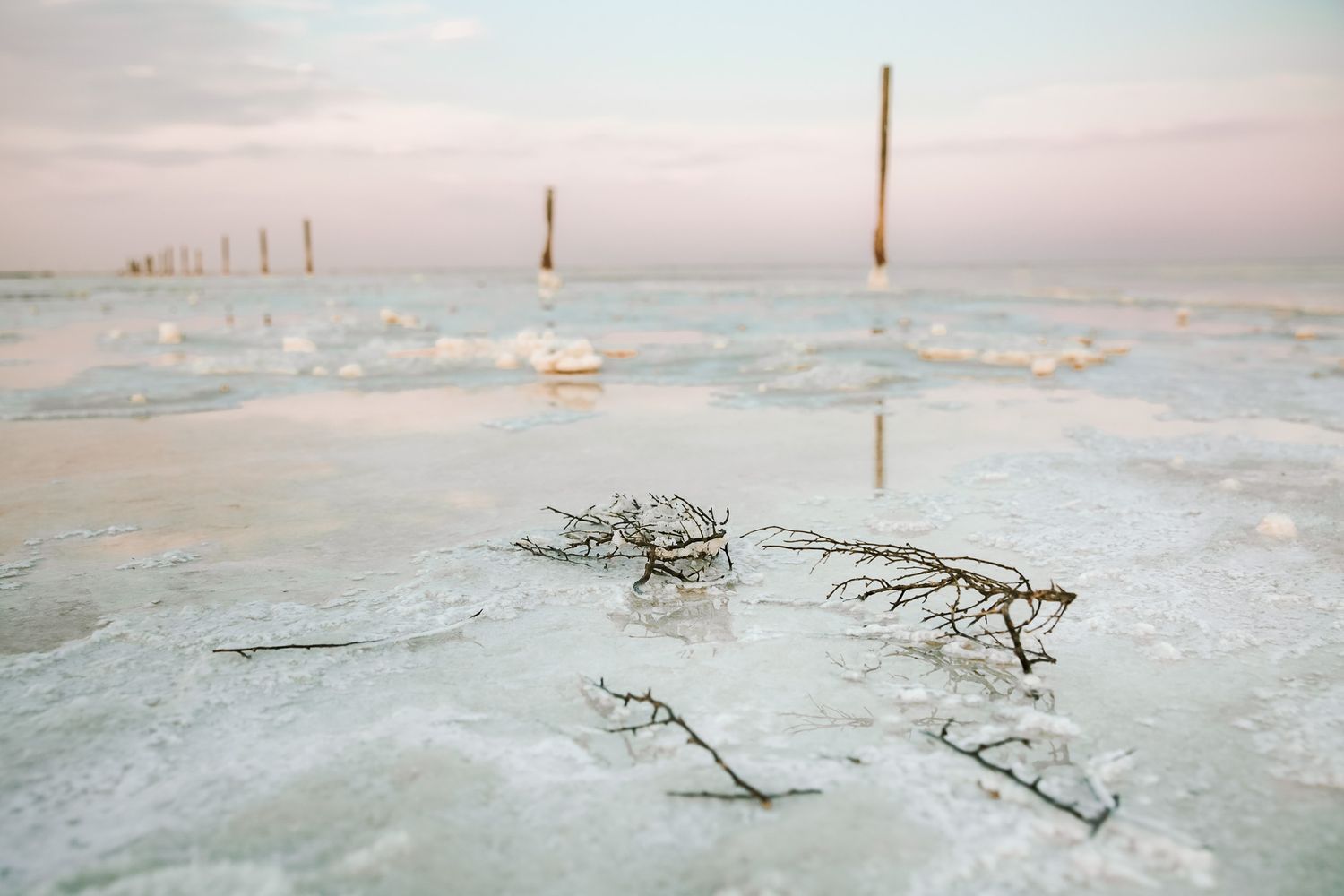 Minimalist winter landscape with wooden poles emerging from frozen misty terrain.