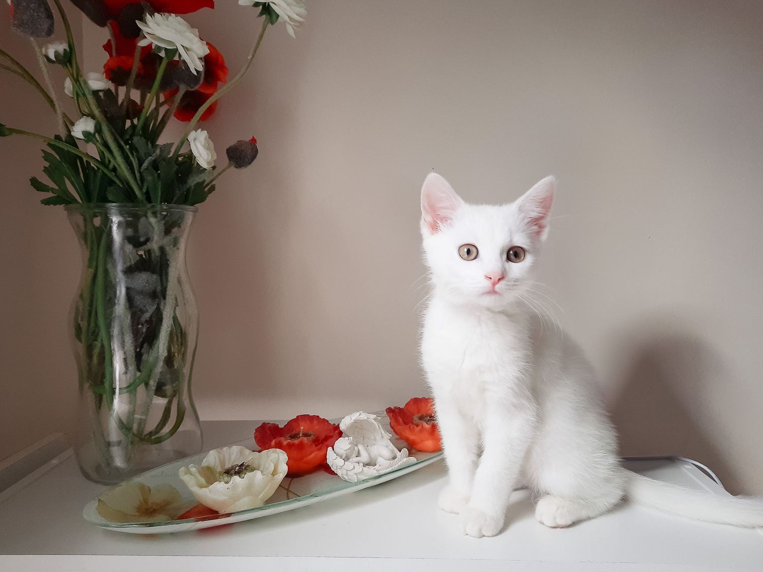White cat sitting next to vase of flowers and plate on table.