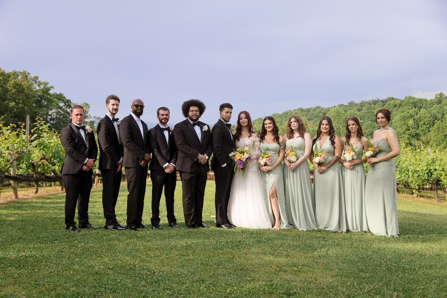 Wedding party poses outdoors in vineyard, groomsmen in black suits and bridesmaids in sage green gowns with bride and groom centered.