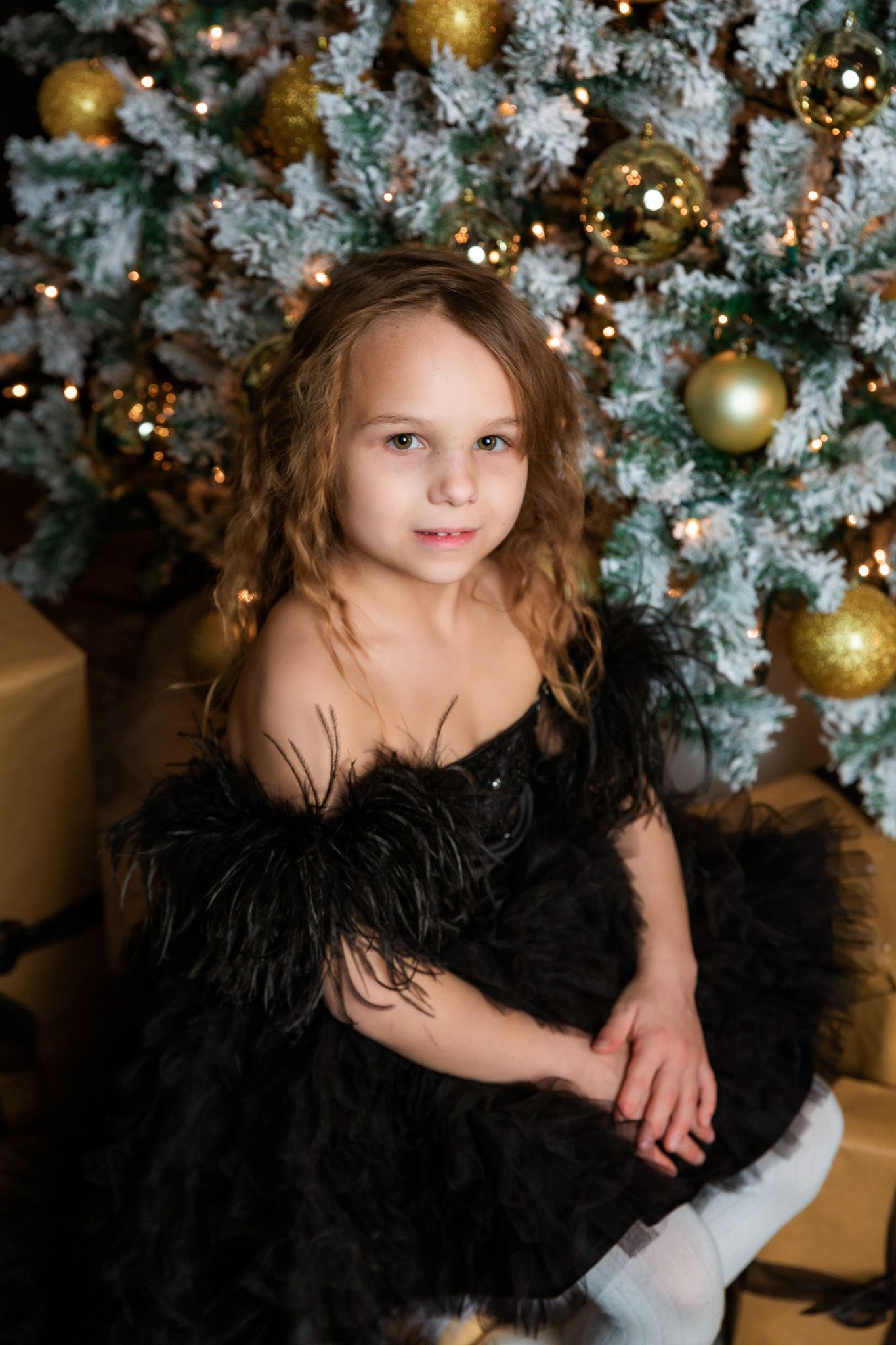 Holiday portrait session with decorated Christmas tree, gold ornaments, and black feathered dress.