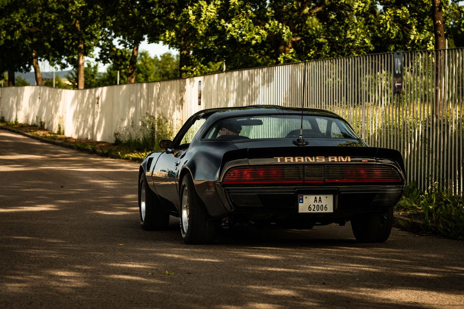 Black vintage sports car photographed from rear angle in dappled sunlight.