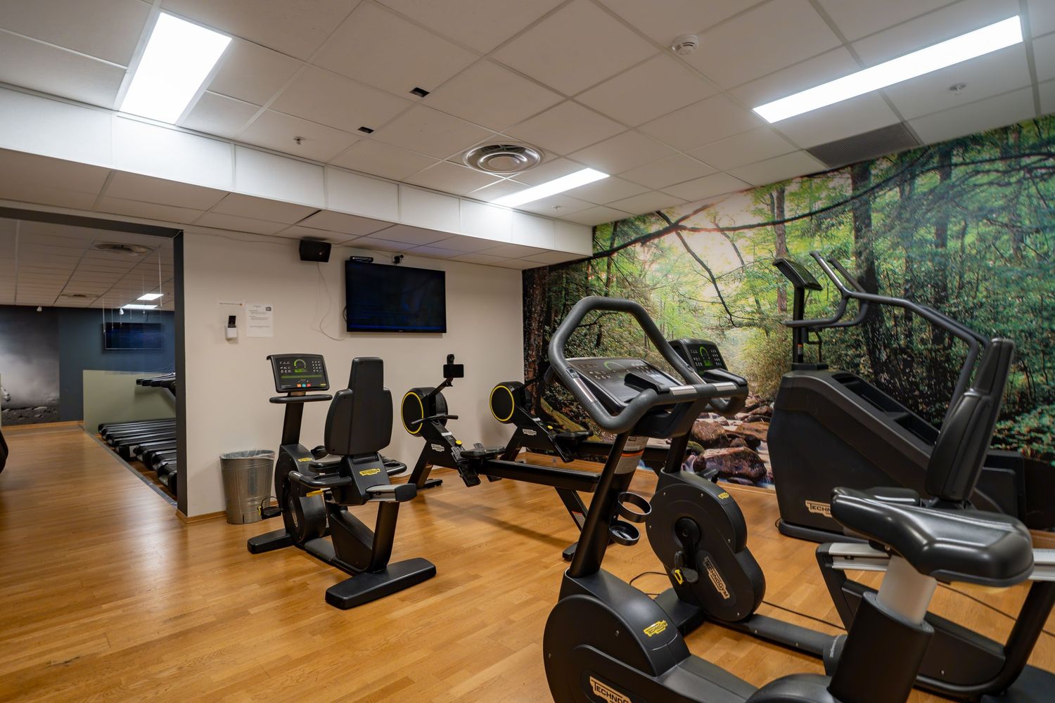 Panoramic view of a fitness center showing cardio machines and weight equipment against nature-themed wall murals.