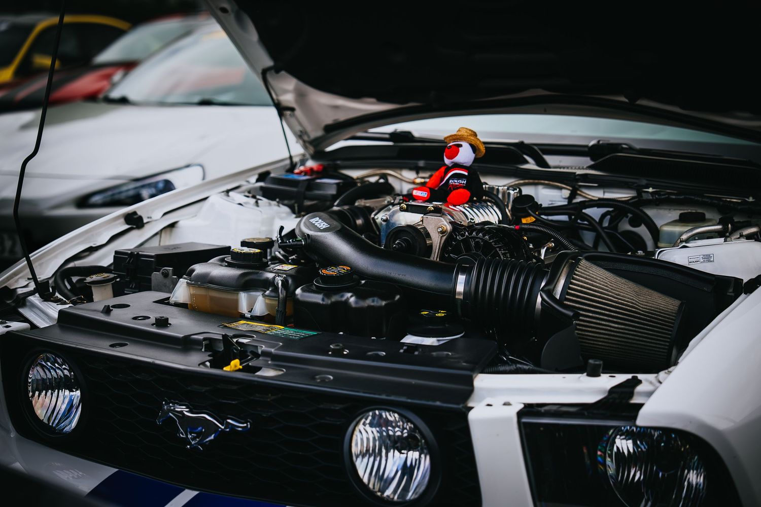 Close up detail of a modified car engine bay showing intake and mechanical components.