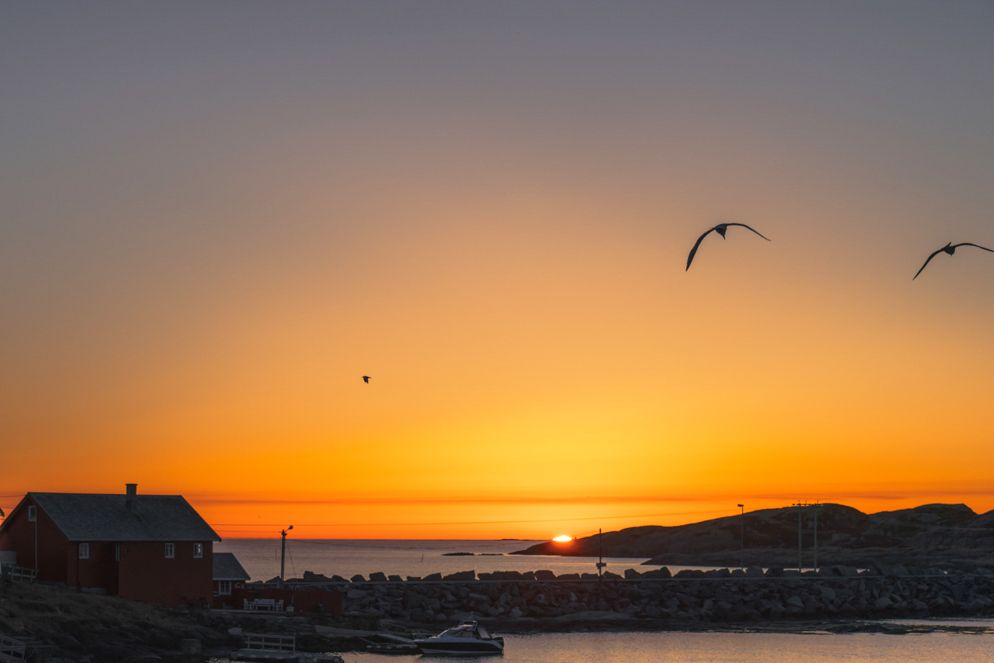 Stunning orange sunset over coastal waters with birds flying against golden sky.