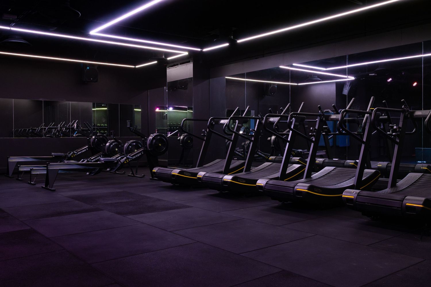 Modern gym cardio section with sleek lighting design and row of treadmills.