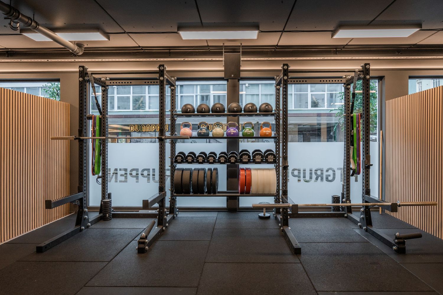Modern gym space with weight racks and exercise equipment positioned in front of large windows.