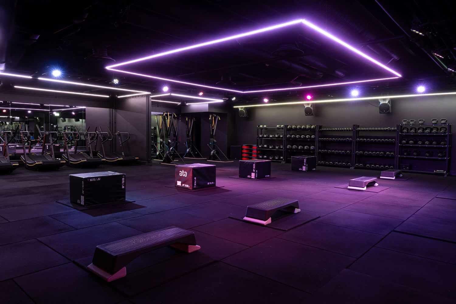 Geometric purple LED lighting creates dramatic atmosphere in darkened fitness space.