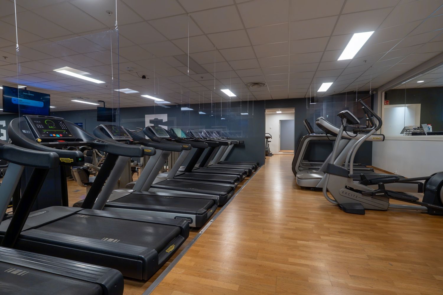 Spacious gym facility featuring multiple treadmills and cardio machines with wood flooring and ceiling lighting.