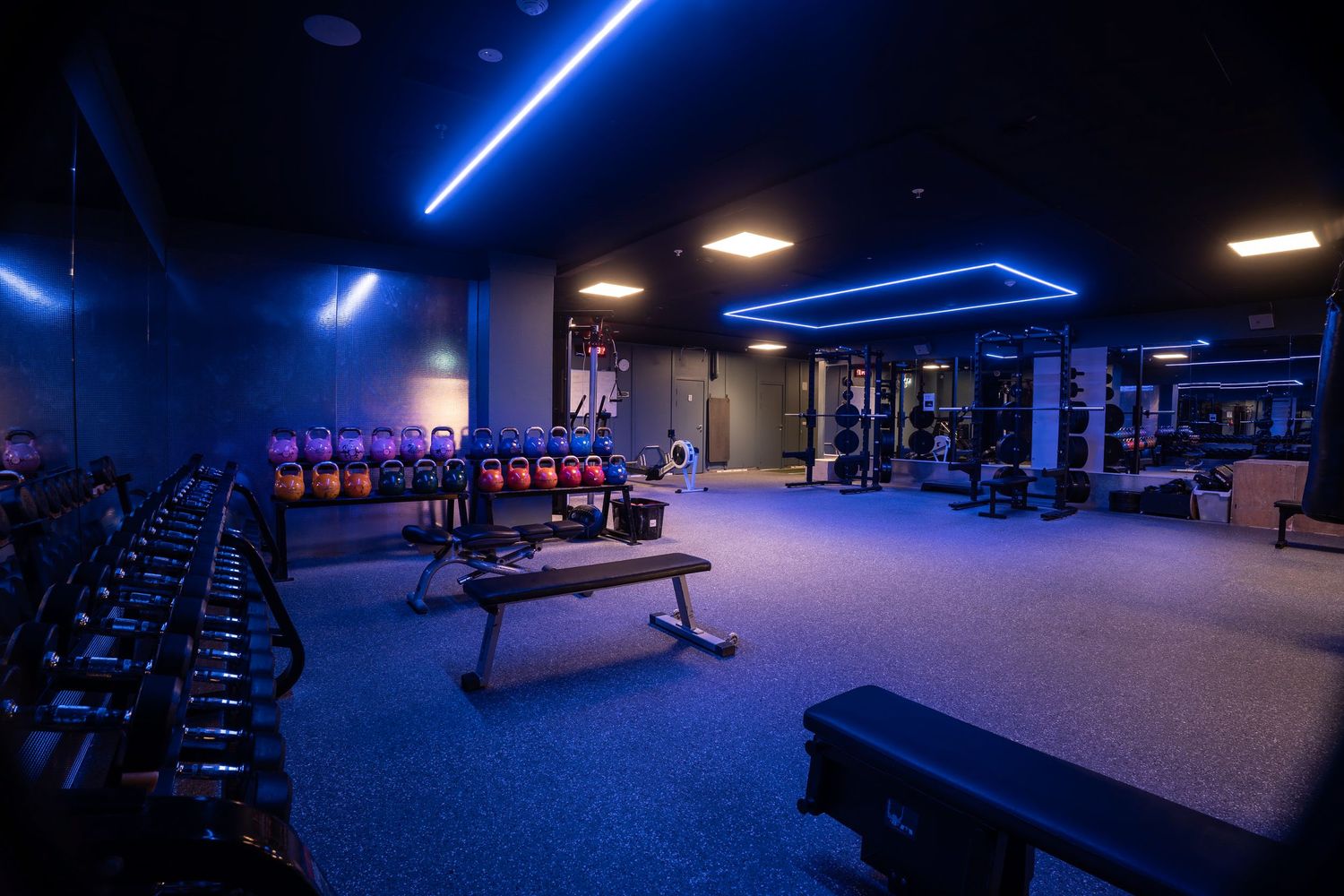 Contemporary gym facility with blue neon lighting and weight training equipment.