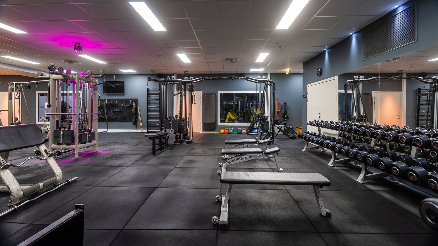 Modern gym facility with weight equipment, benches, and purple accent lighting.
