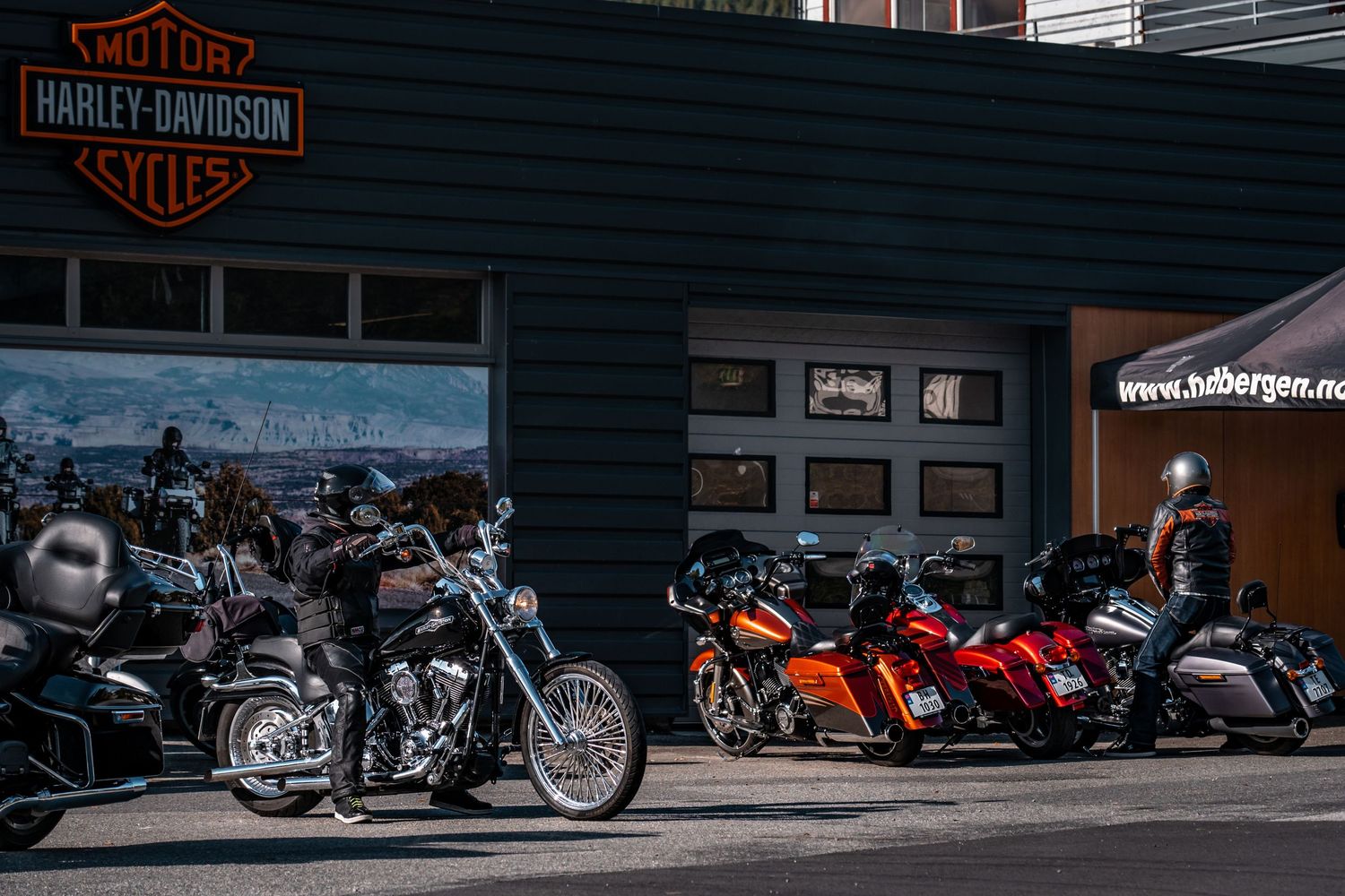 Row of motorcycles parked outside Harley-Davidson dealership with signage visible.