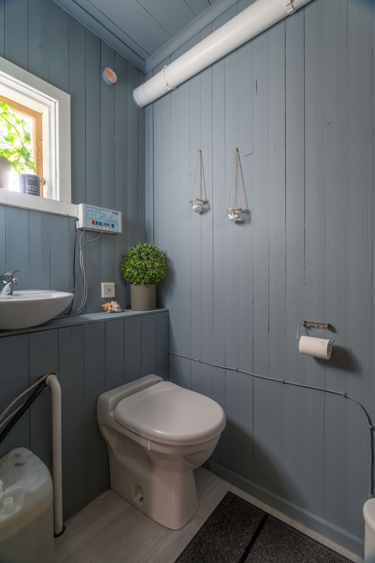 Compact bathroom with blue-gray walls, white fixtures, and hanging plant decorations.