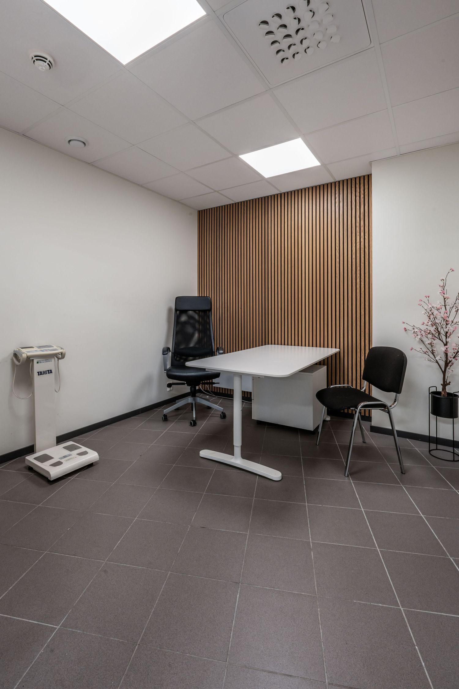 Office consultation room with height-adjustable desk, chairs and wooden slat accent wall.