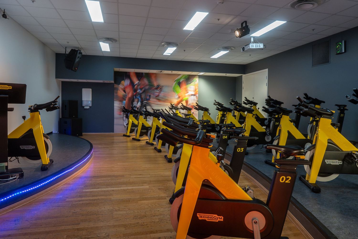 Modern spin studio with sleek yellow bikes arranged in rows under fluorescent lighting.