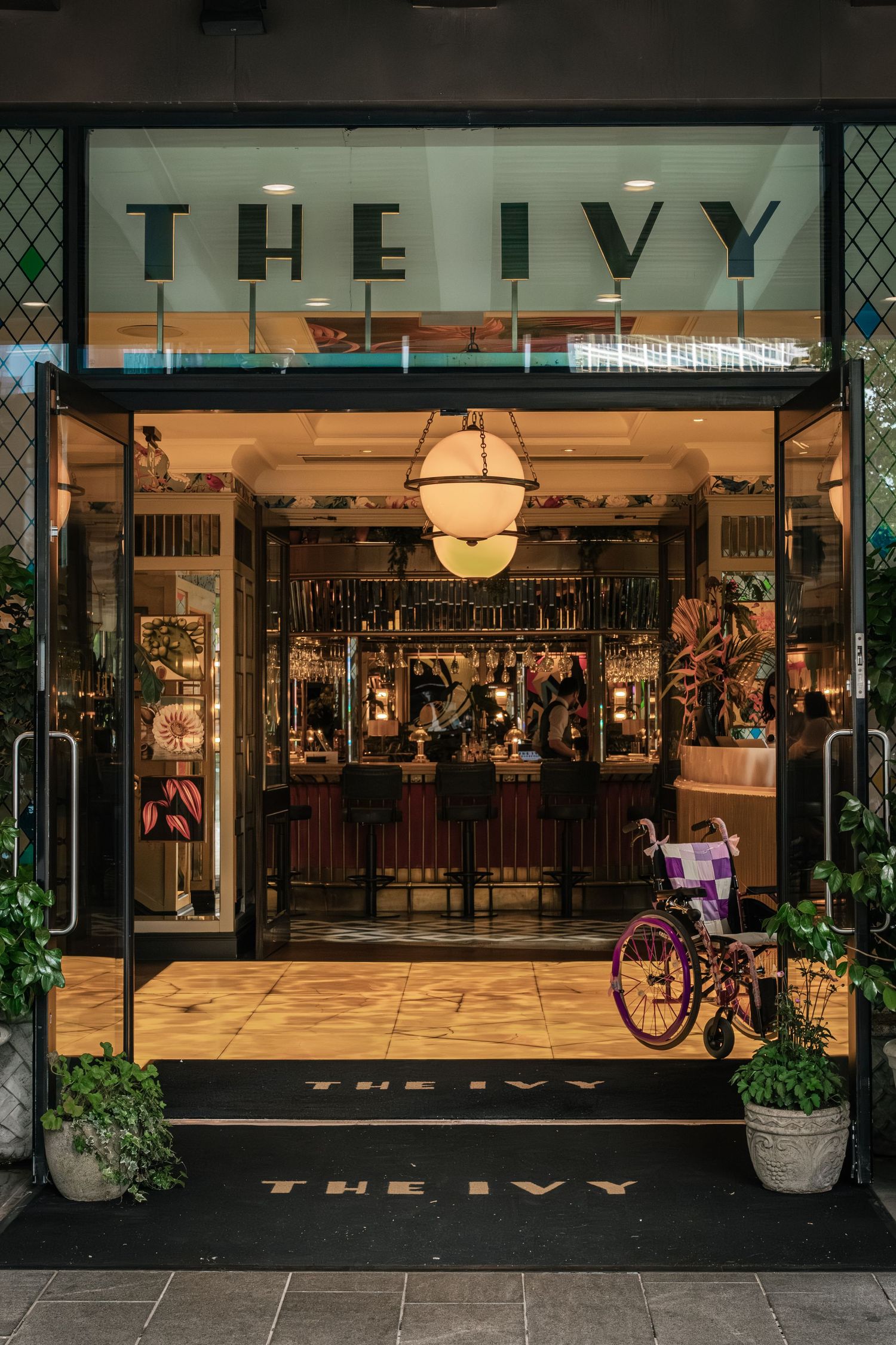 An illuminated storefront entrance at night with 'THE IVY' signage and ambient lighting.