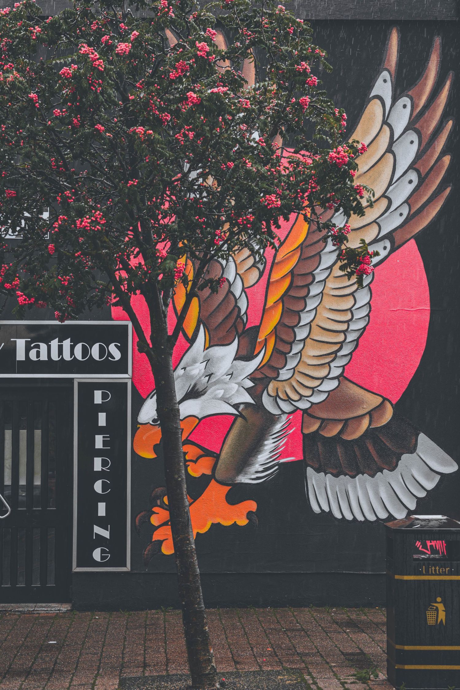 Colorful street art mural of wings against a black wall with pink blossoms in the background.