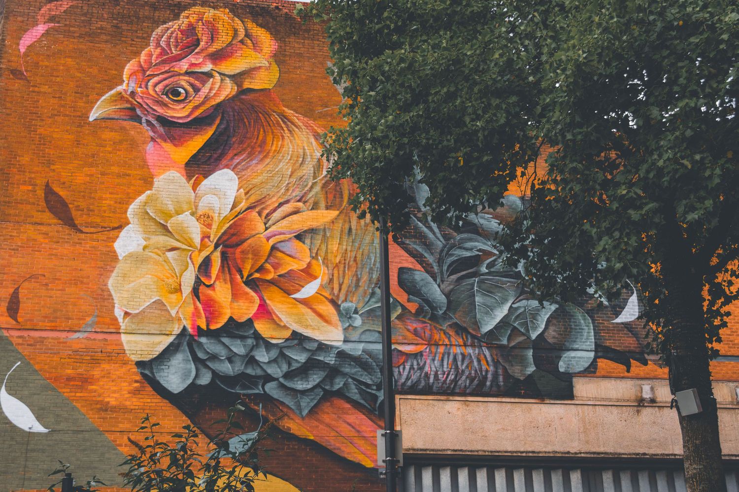 Large colorful floral street art mural featuring orange and gray roses painted on an urban wall with trees nearby.