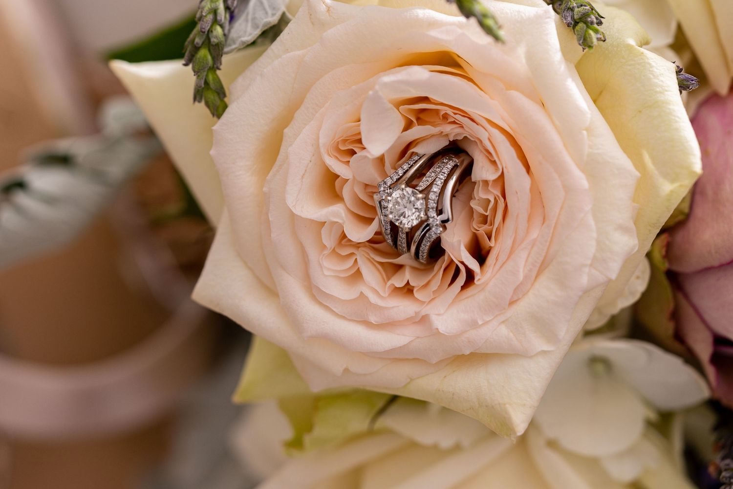 Light pink garden roses with delicate petals and green foliage create an elegant romantic arrangement.