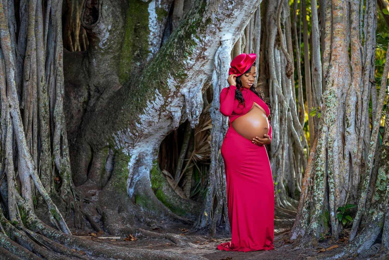 Ancient banyan tree with massive aerial roots creates a natural archway on a forest path.