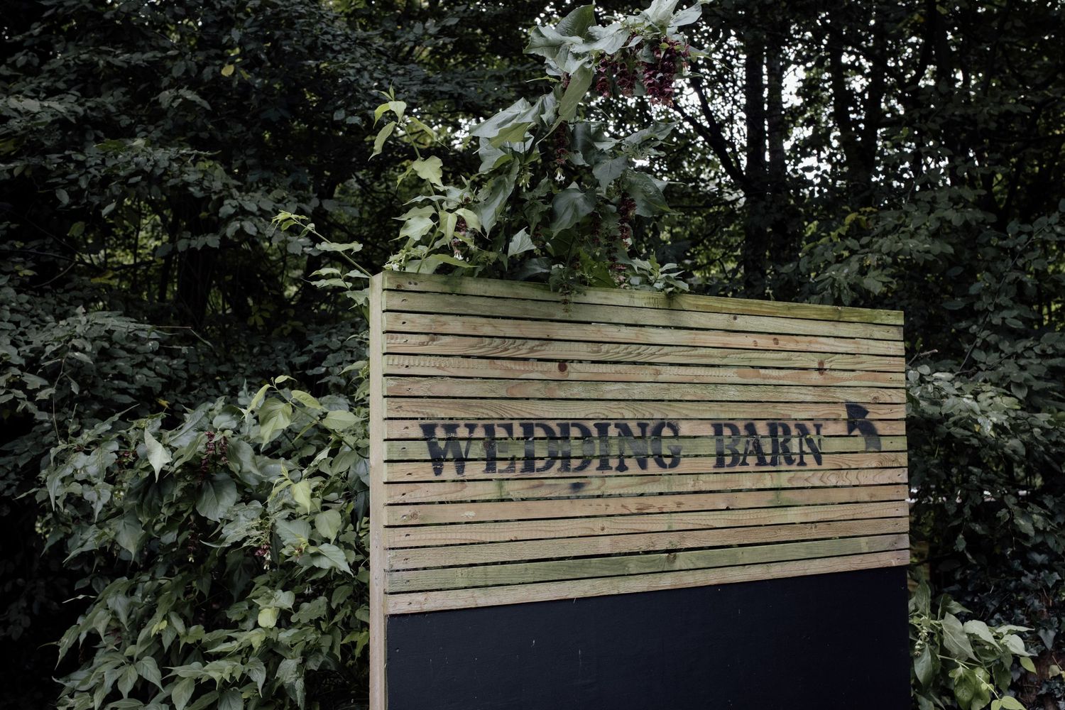 A wooden sign reading 'Wedding Barn' mounted on a black board surrounded by green foliage.