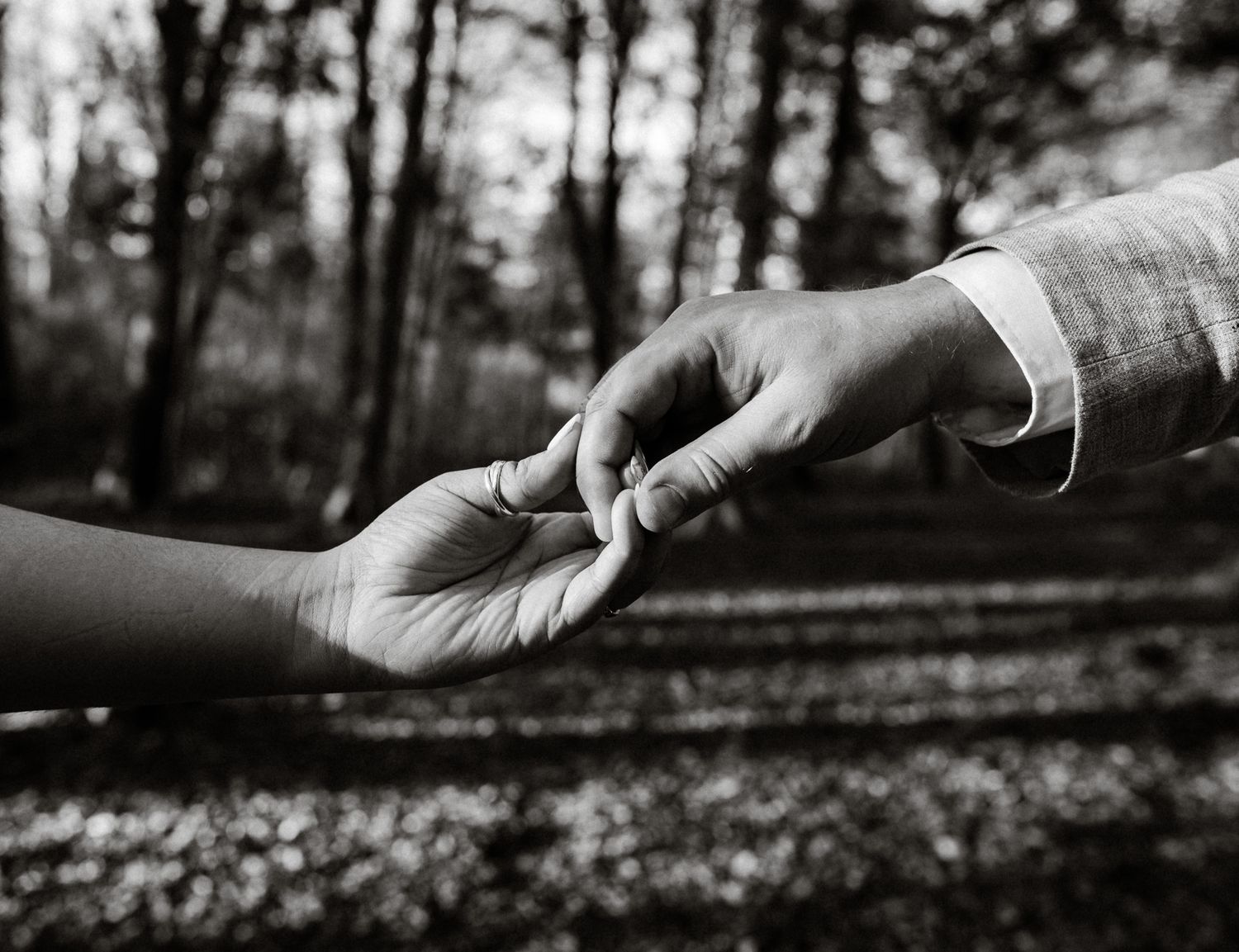 A black and white close-up photo shows two hands reaching toward each other in a gentle touch against a wooded background.