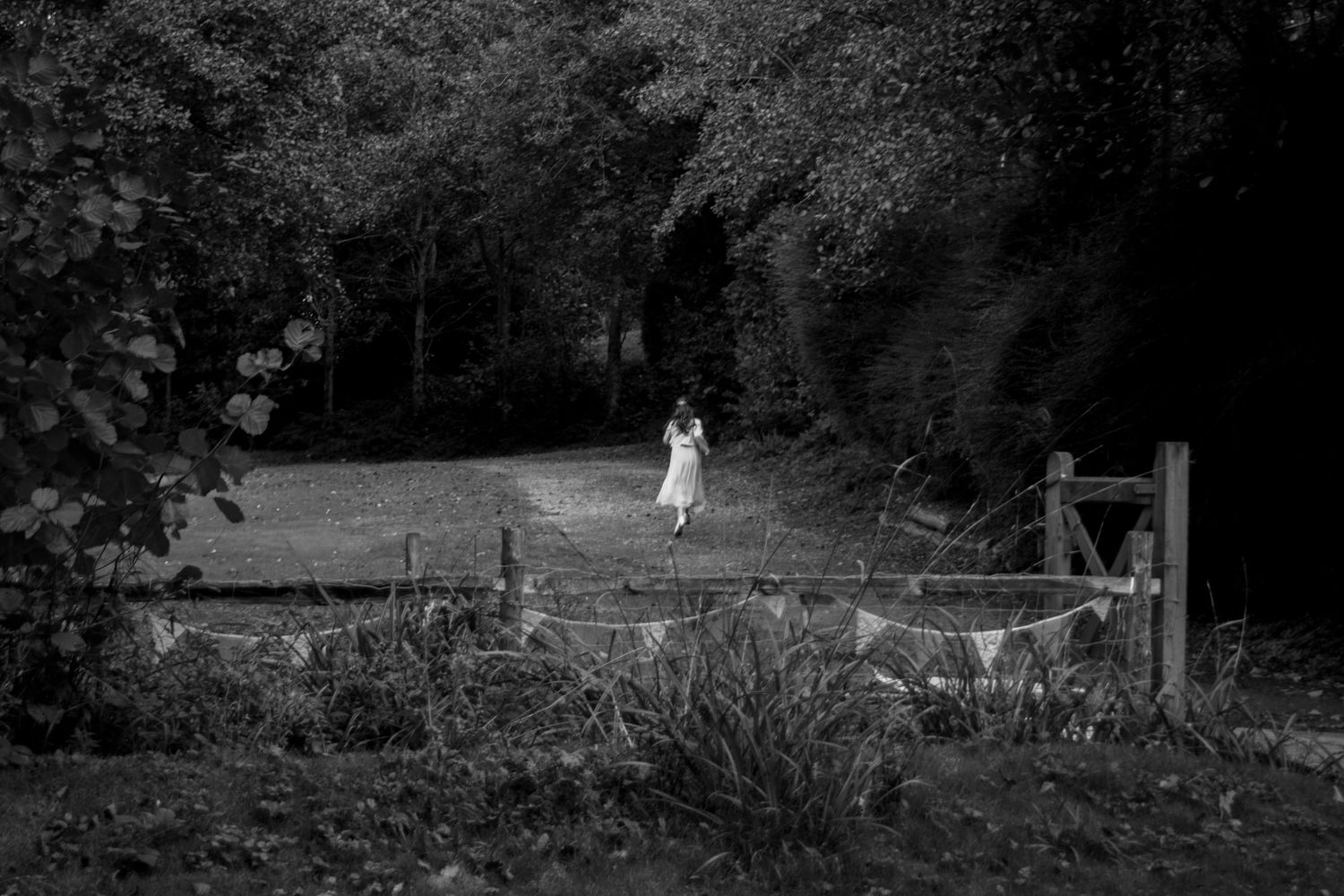 Black and white panoramic view.