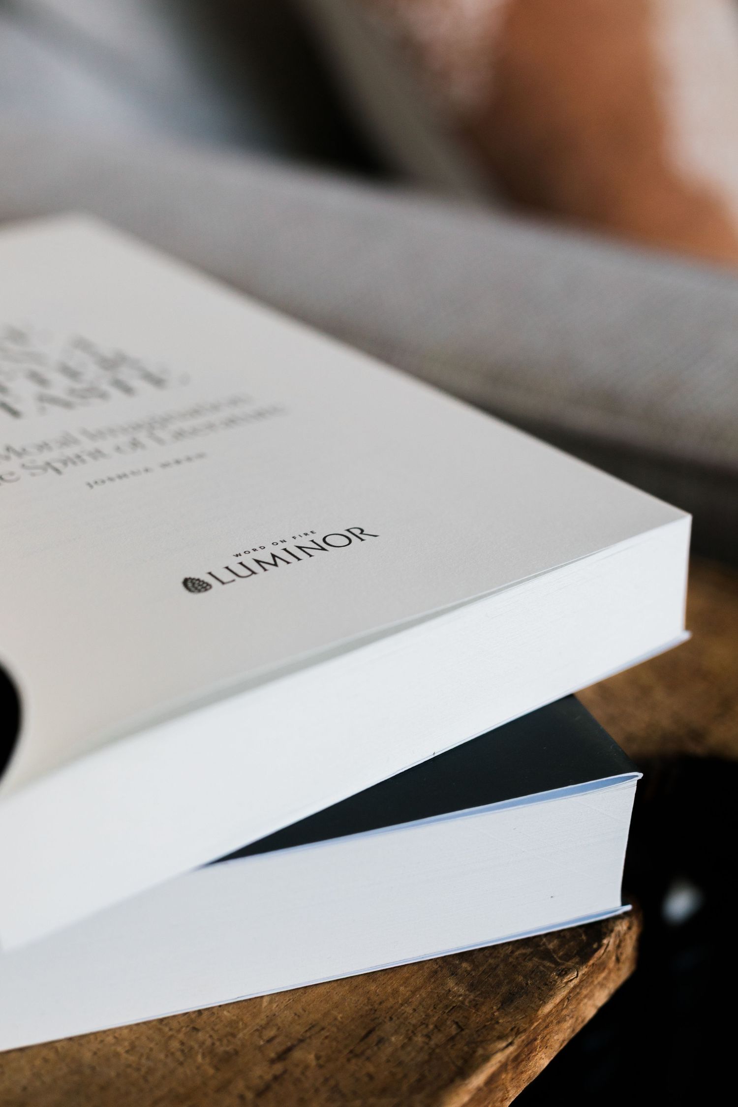 Two white hardcover books stacked on a wooden table, featuring Luminor branding.