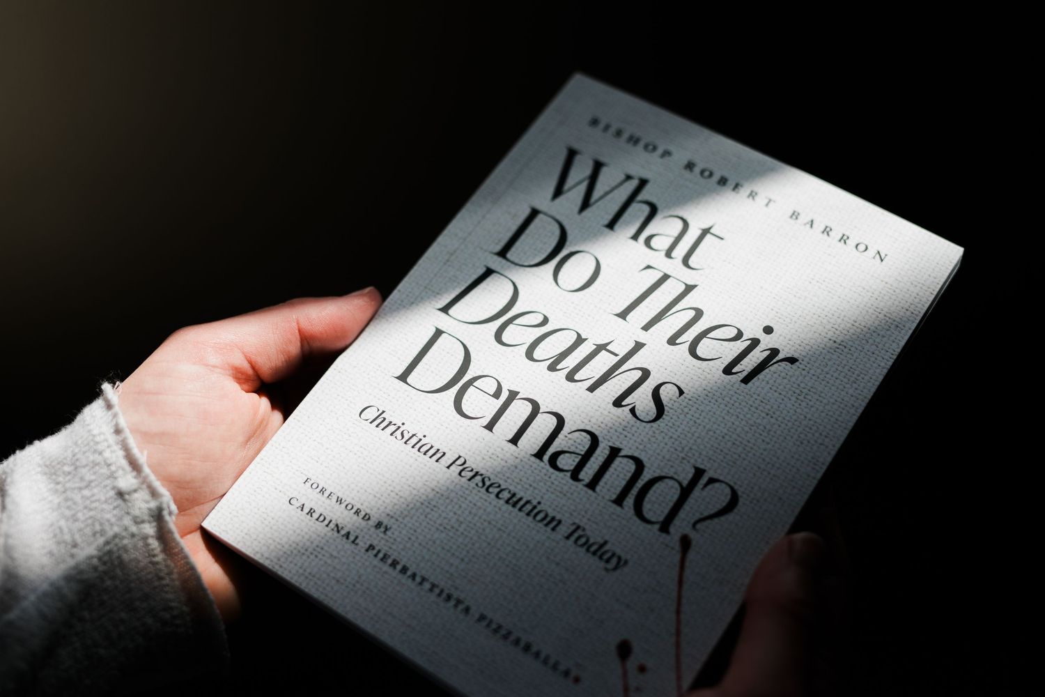 Hand holding Bishop Robert Barron book What Do Their Deaths Demand about Christian persecution today.