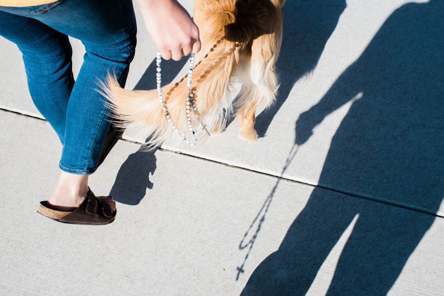 Long shadows cast on concrete ground with people walking.