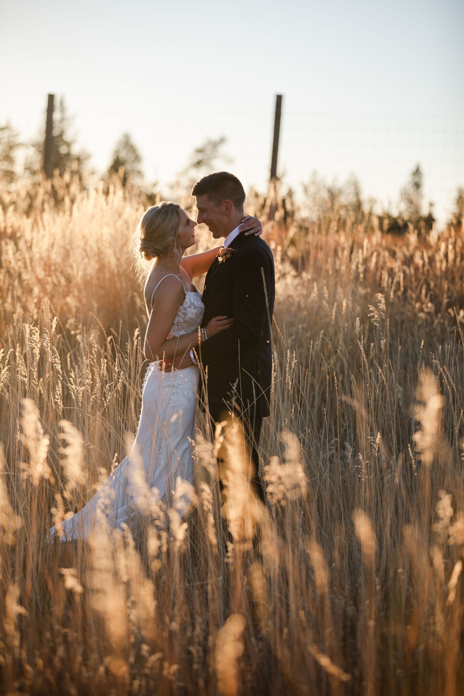 Bride and groom embrace in golden wheat field at sunset, wearing wedding dress and black suit.