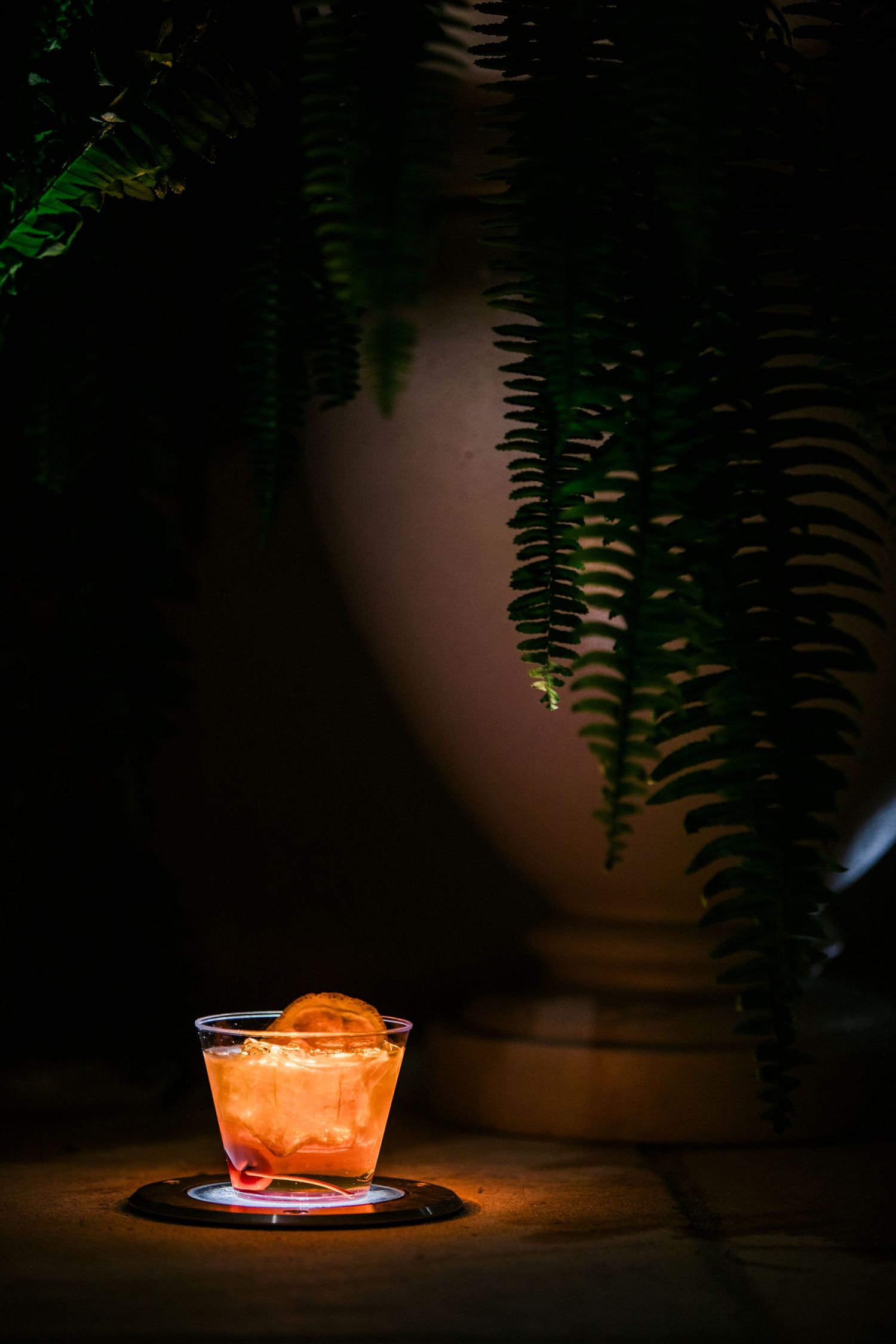 A glowing orange cocktail sits illuminated on a dark surface with fern leaves creating dramatic shadows in the background.