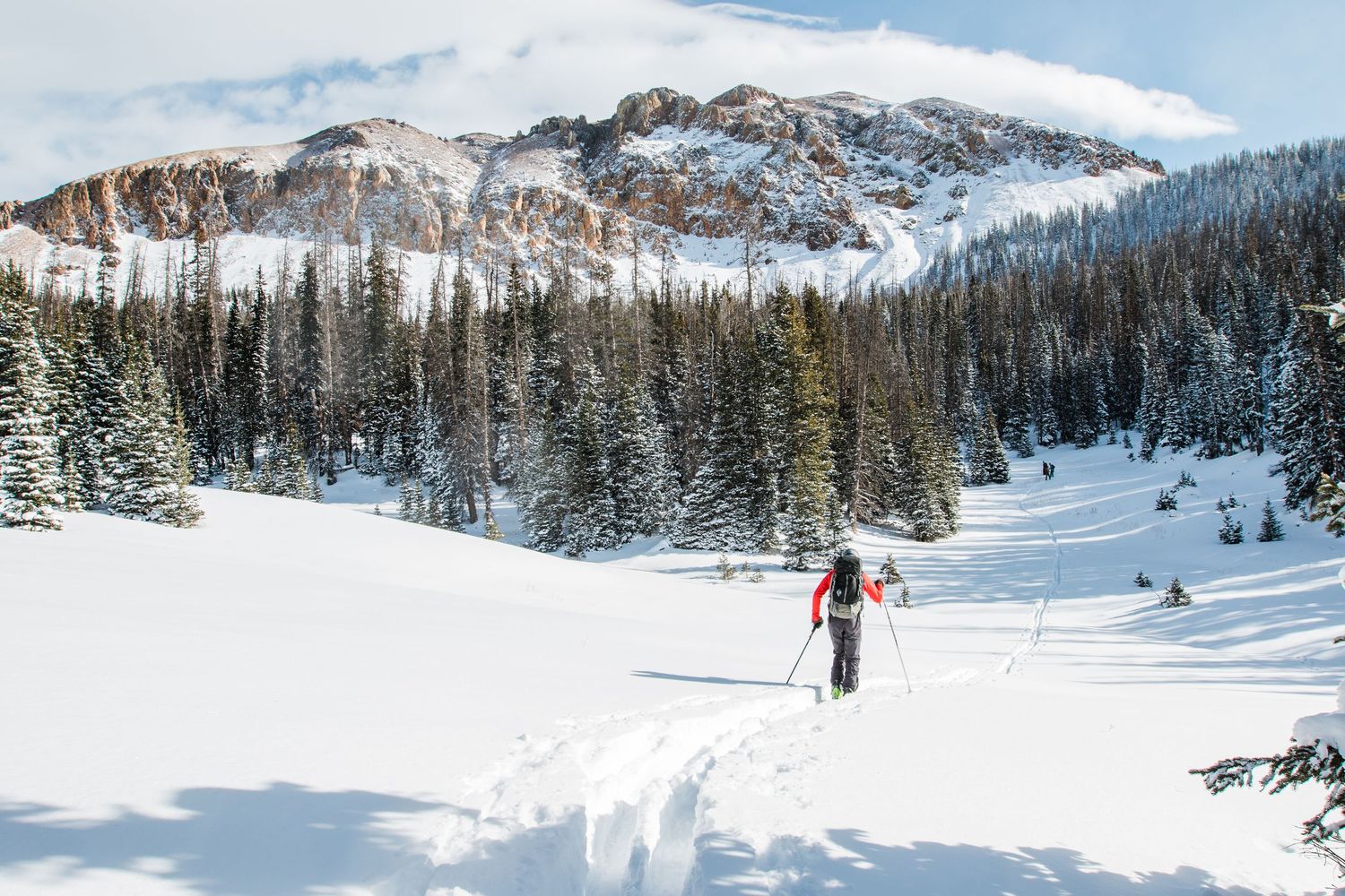 A skier traverses through fresh powder snow in a mountainous forest landscape beneath snow-capped peaks.