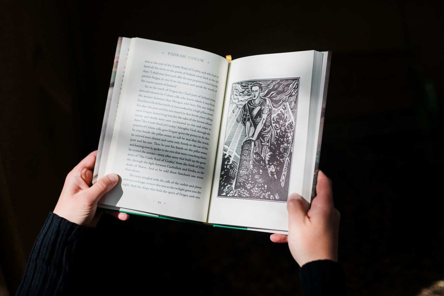 Hands holding open illustrated book with black and white artwork and text pages in natural light.