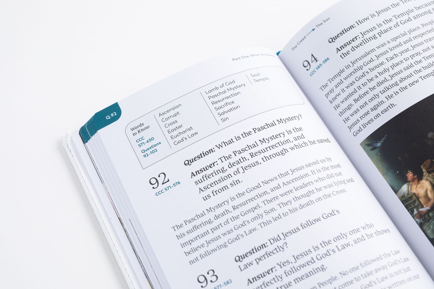 Open book showing numbered questions and answers with teal accents on white pages.