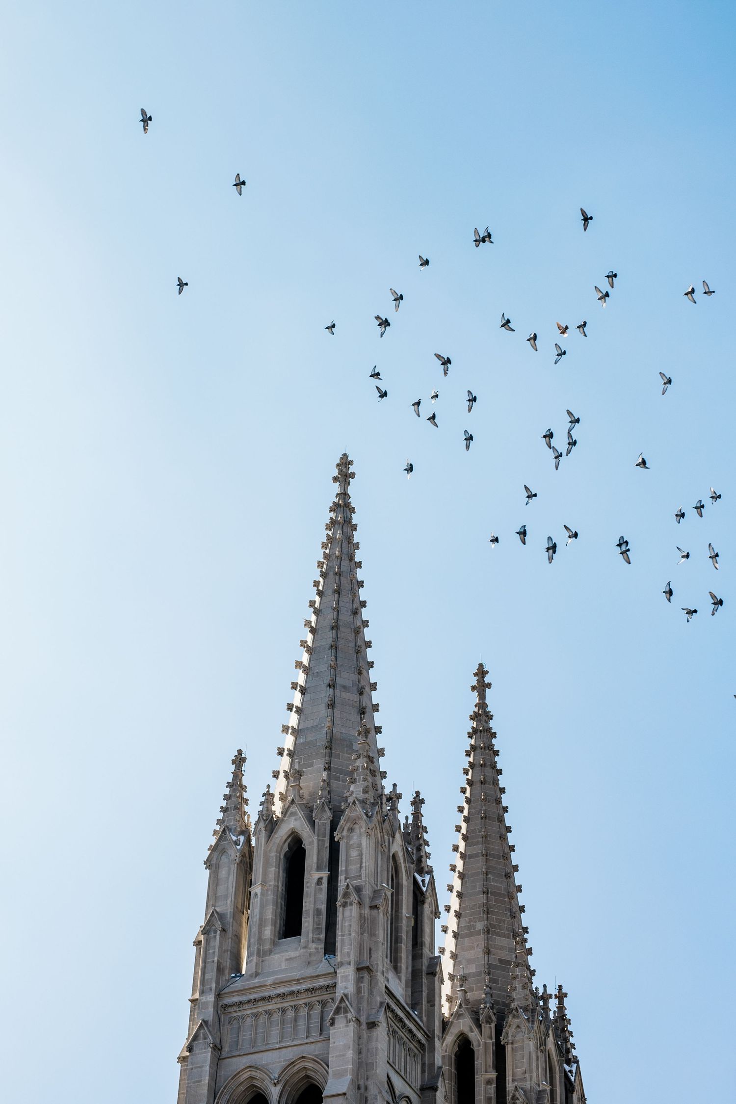 Gothic cathedral spires against blue sky with flock of birds flying overhead.